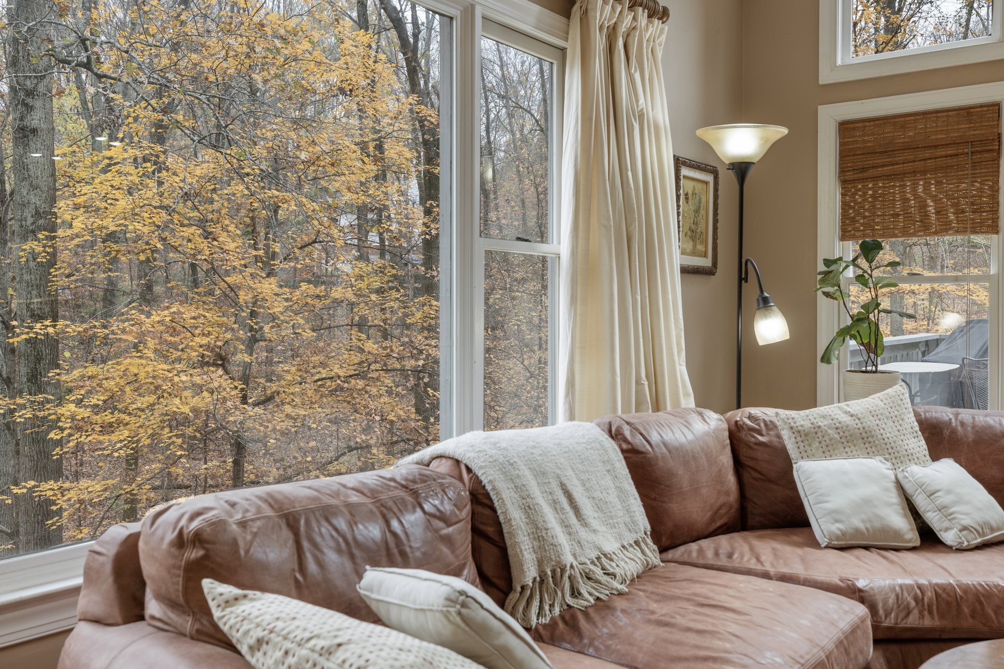 1245 Temple Ridge Dr