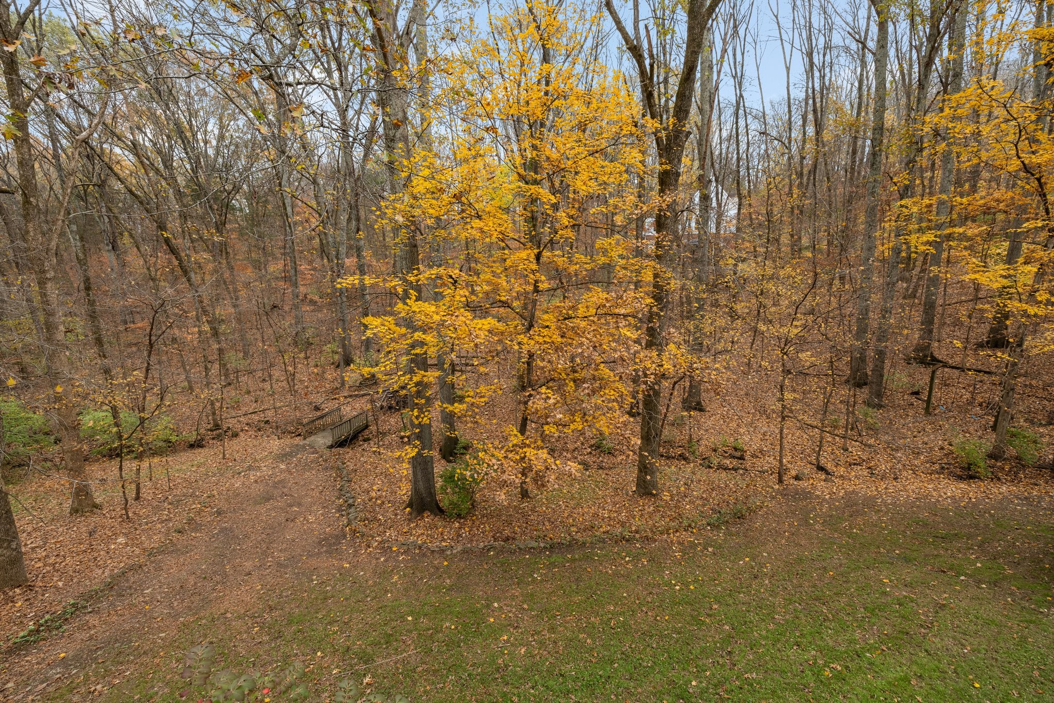 1245 Temple Ridge Dr