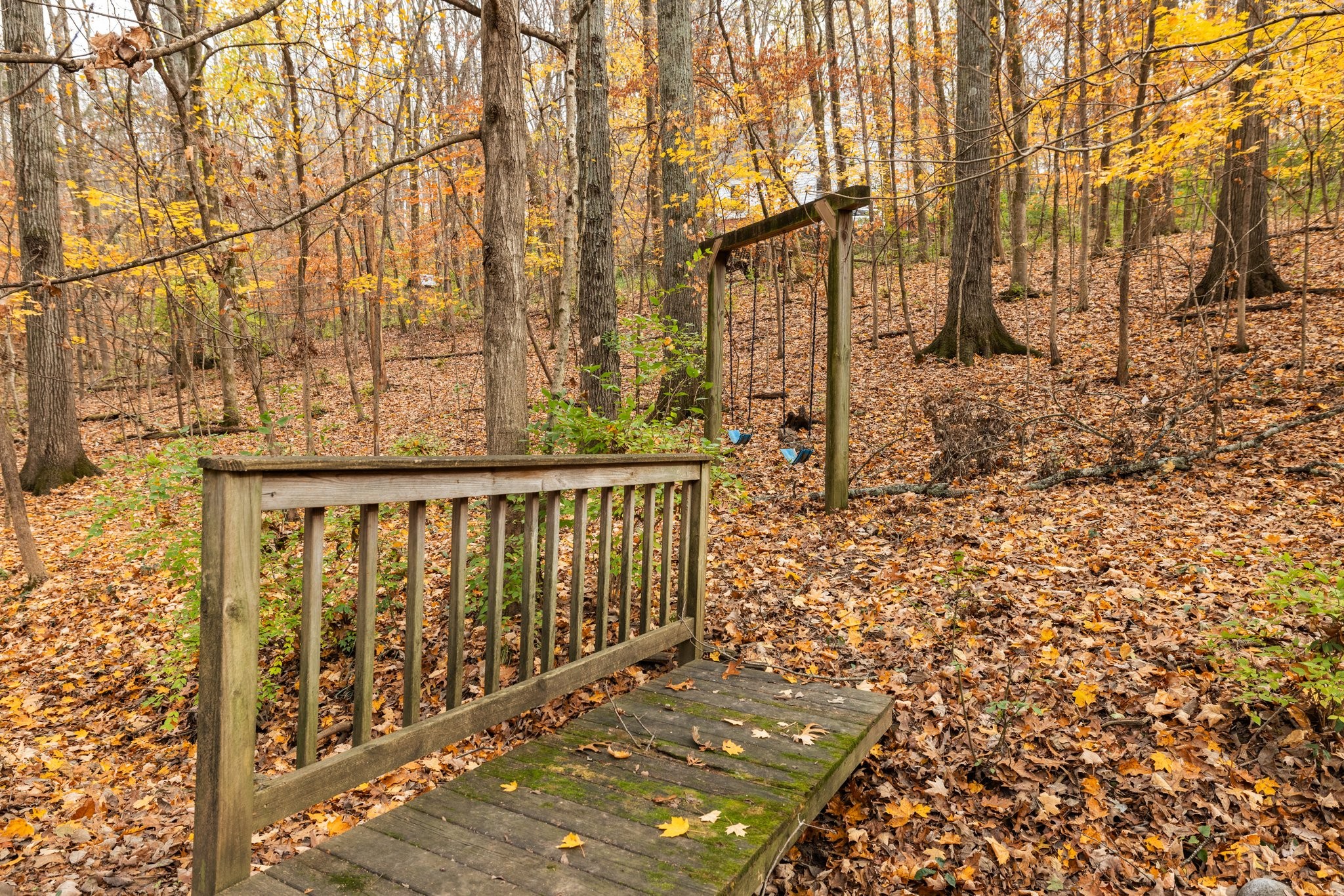 1245 Temple Ridge Dr