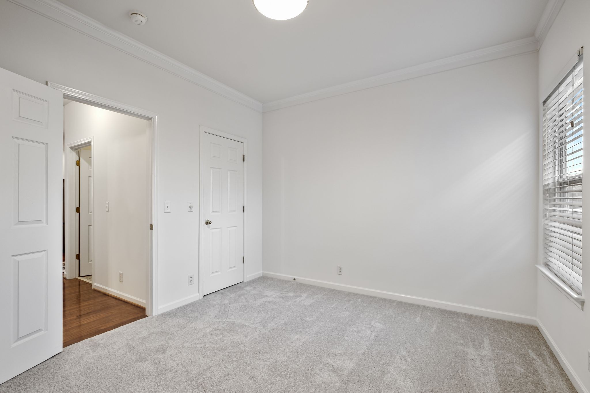 204 Deep Woods Court