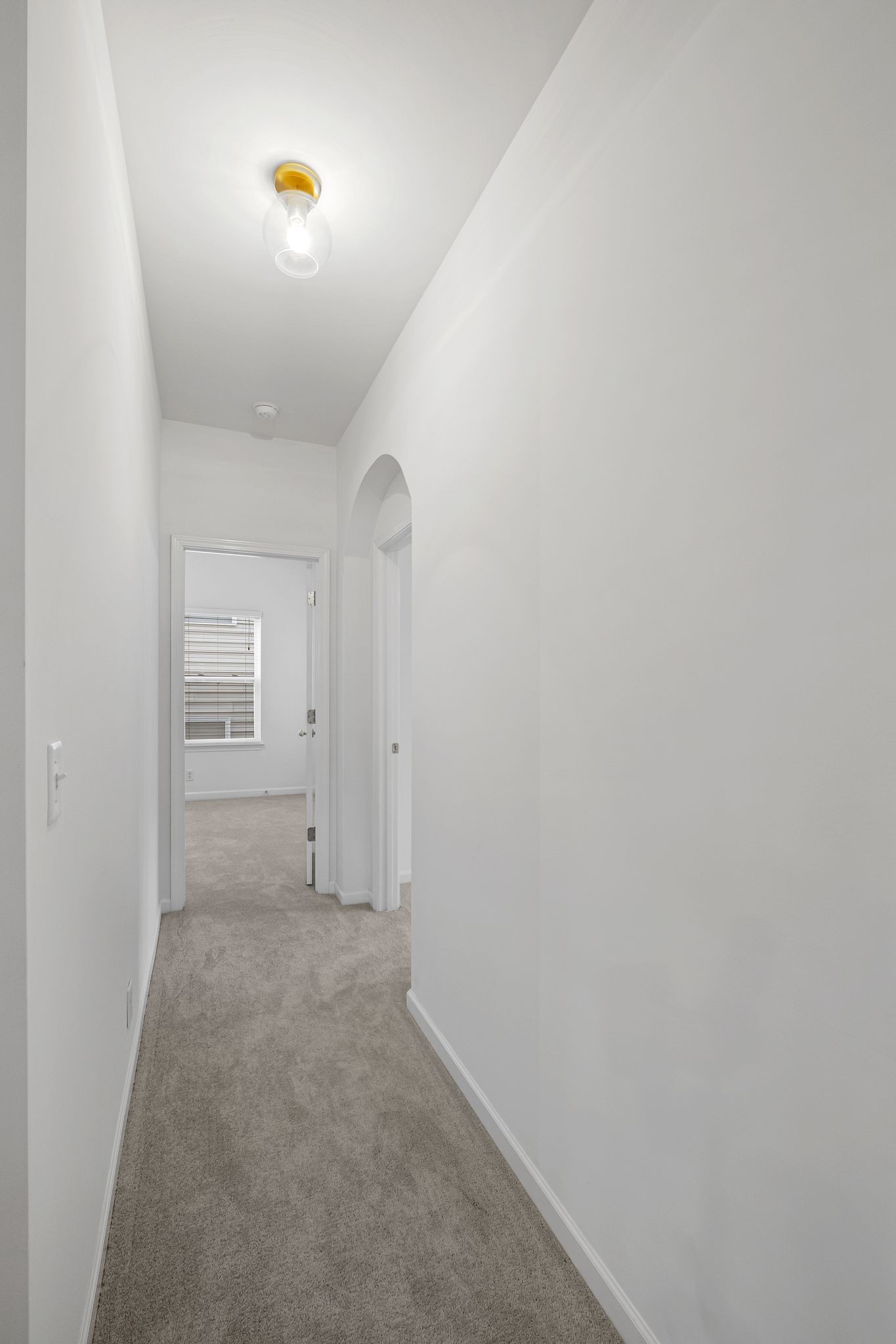 204 Deep Woods Court