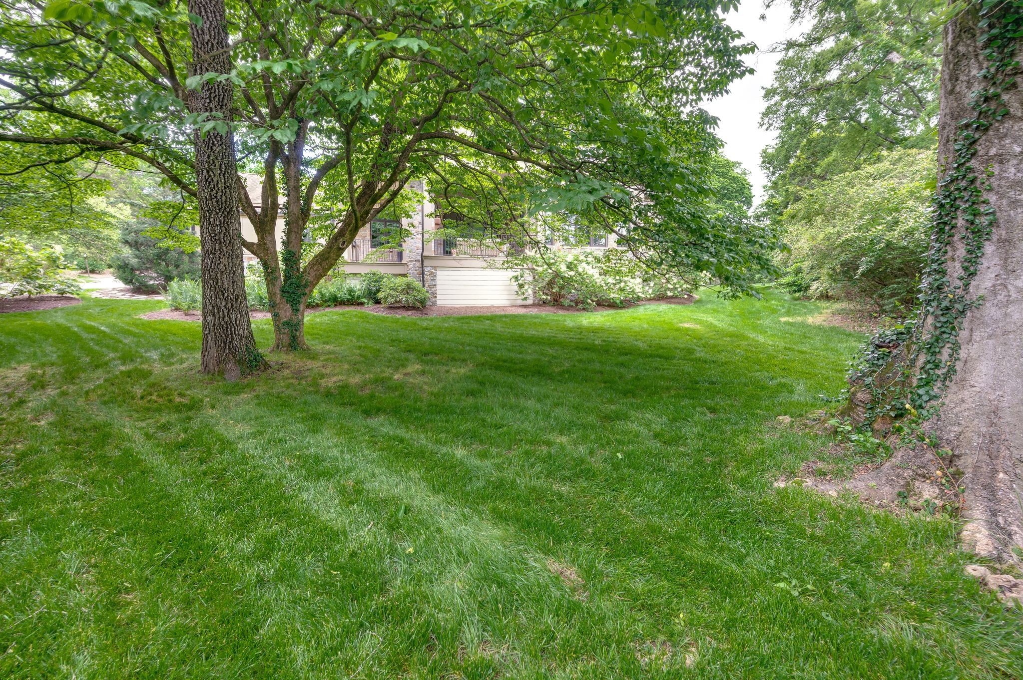 1606 Windy Ridge Dr
