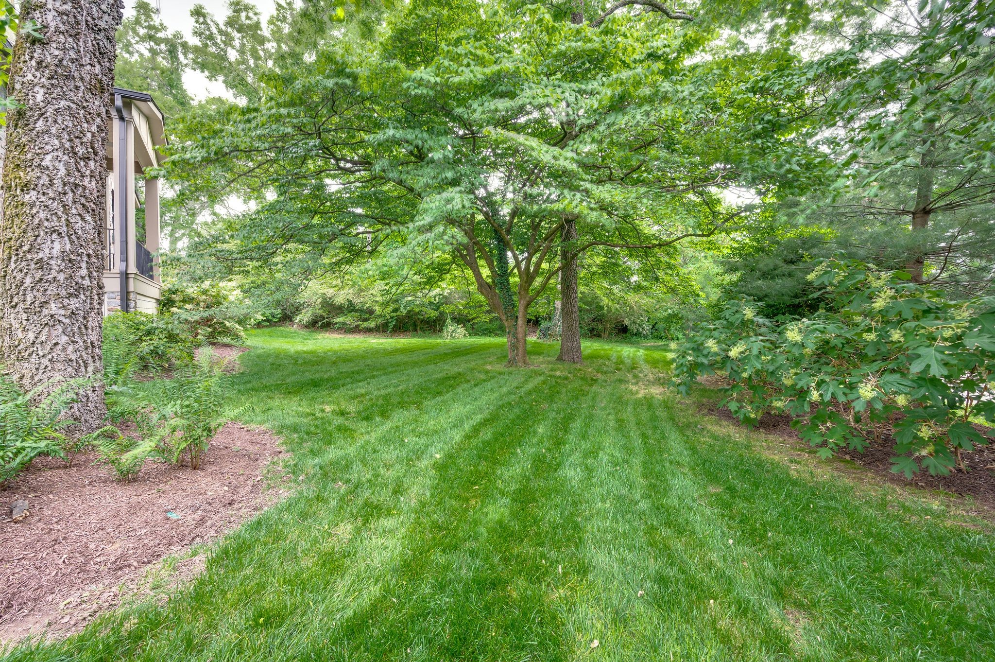 1606 Windy Ridge Dr