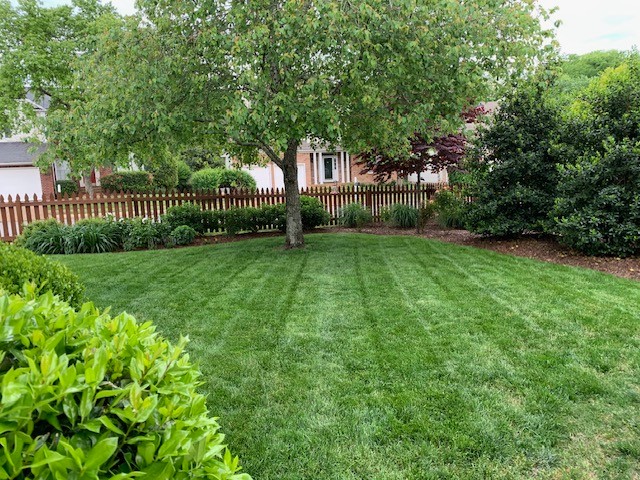 225 Cavalcade Cir