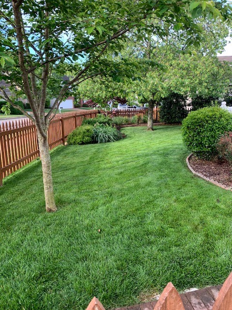 225 Cavalcade Cir