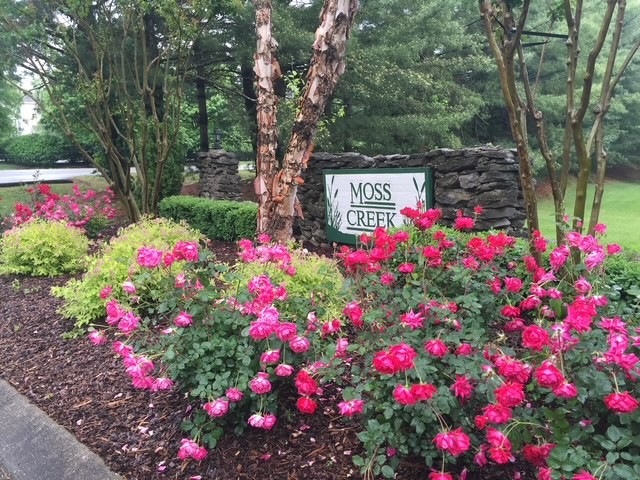 429 Moss Creek Ct