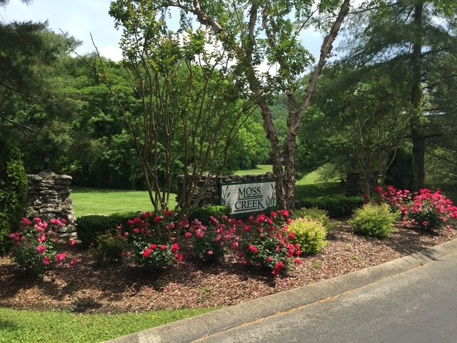 429 Moss Creek Ct