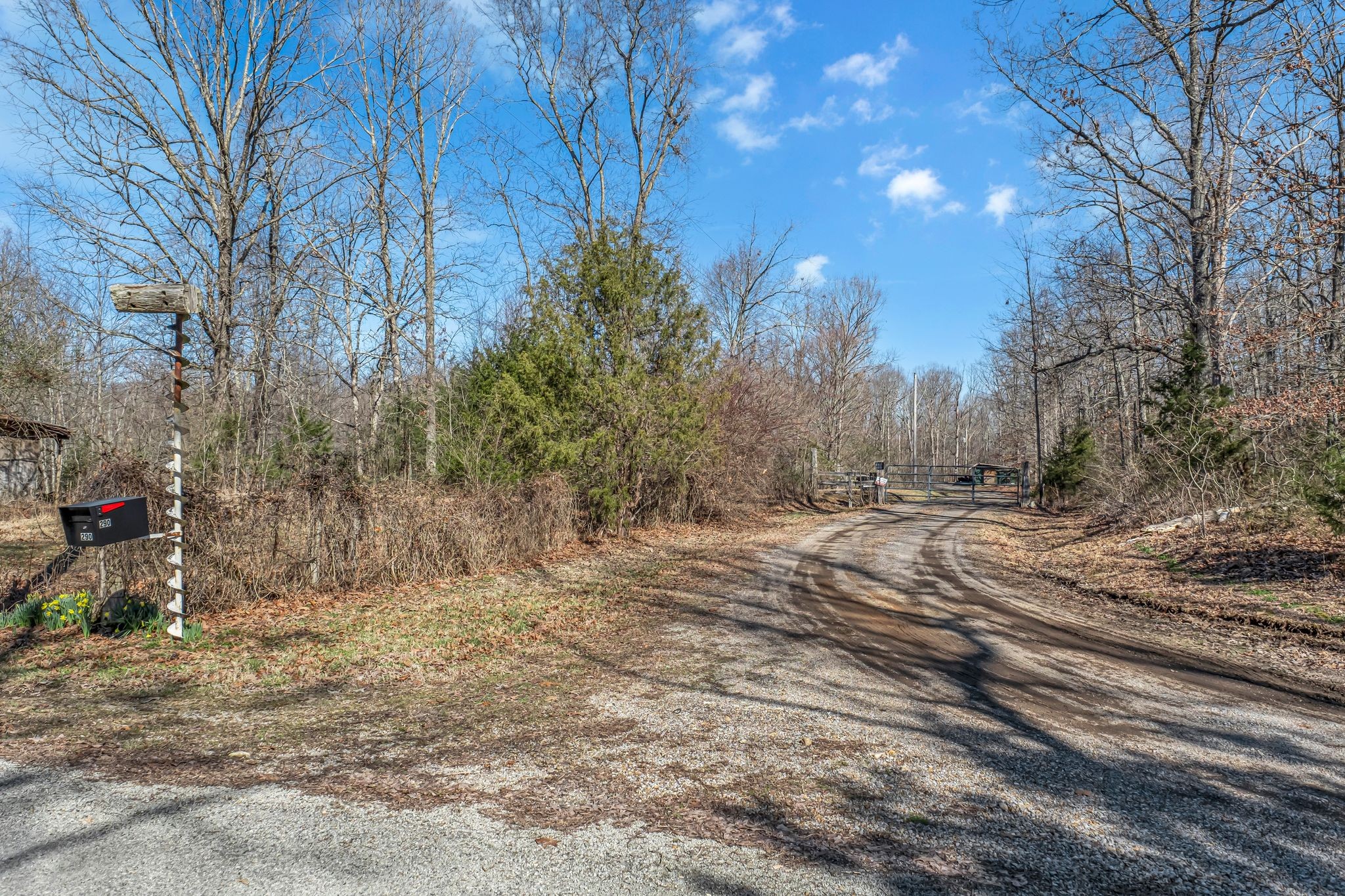 290 Deerwood Rd