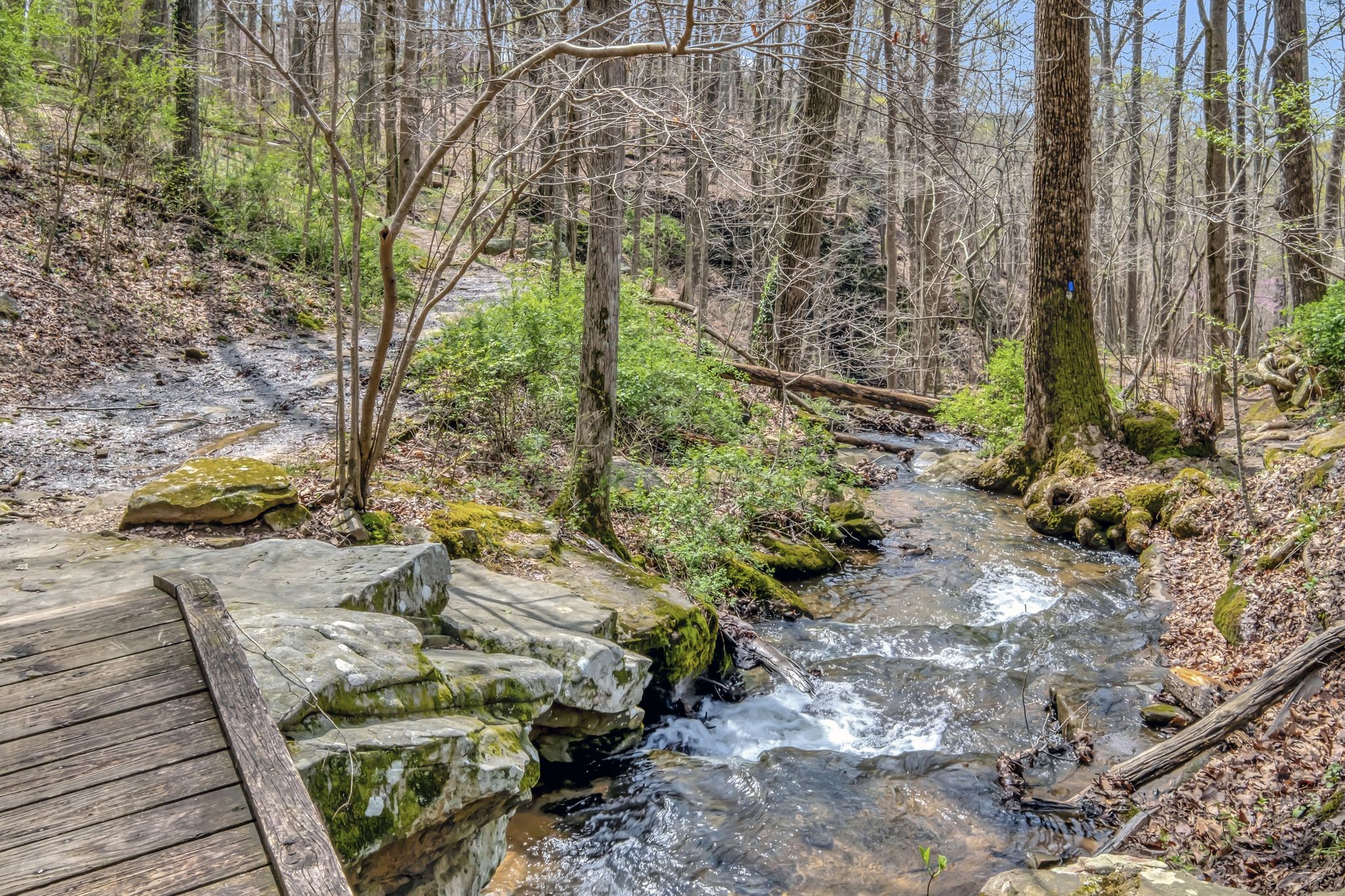 154 Morgans Steep Rd