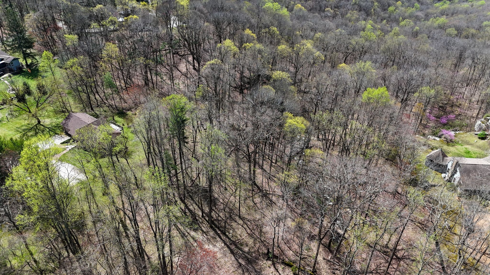 154 Morgans Steep Rd