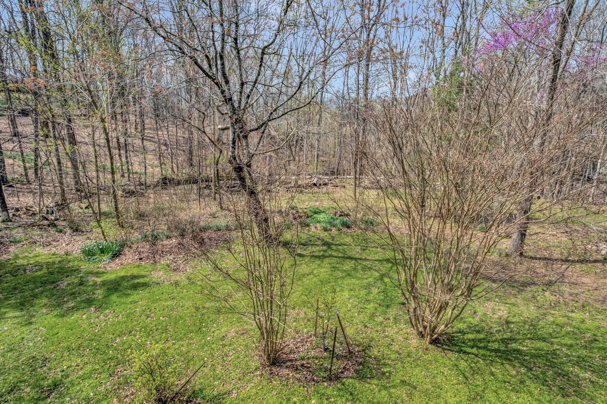 154 Morgans Steep Rd