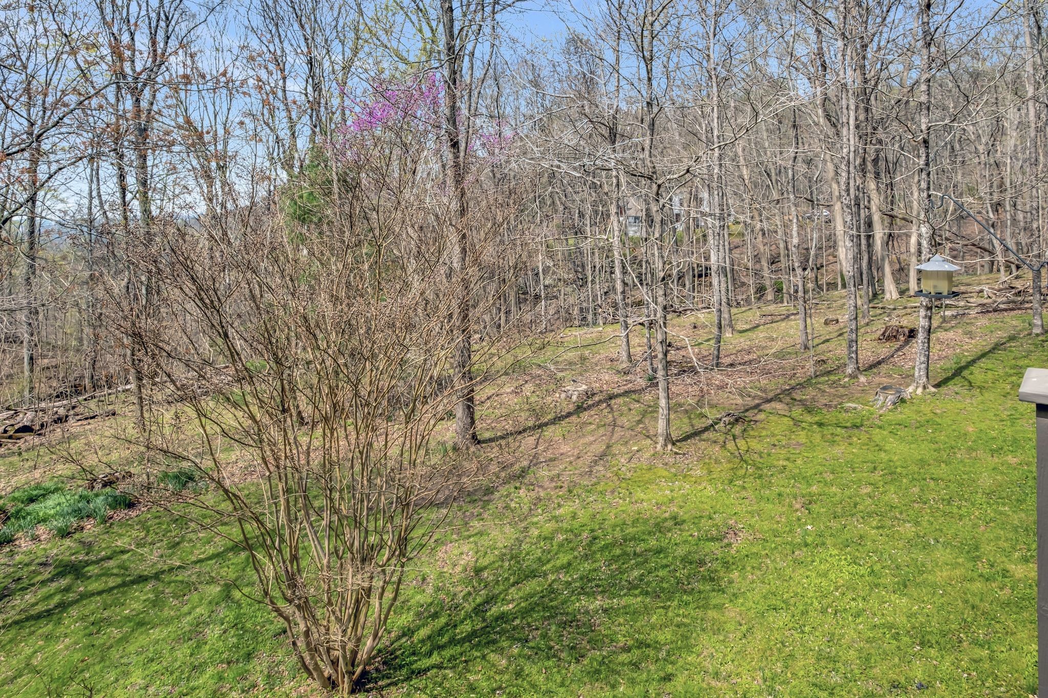 154 Morgans Steep Rd