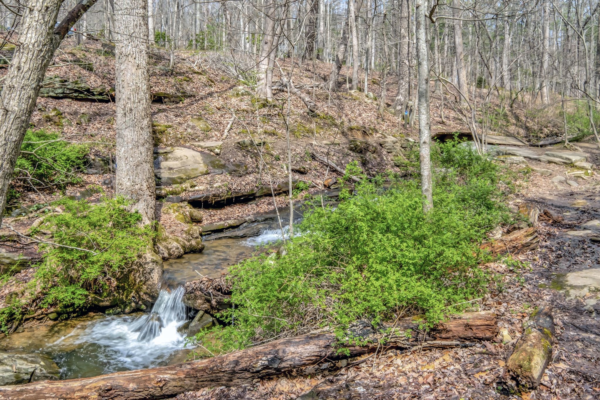 154 Morgans Steep Rd