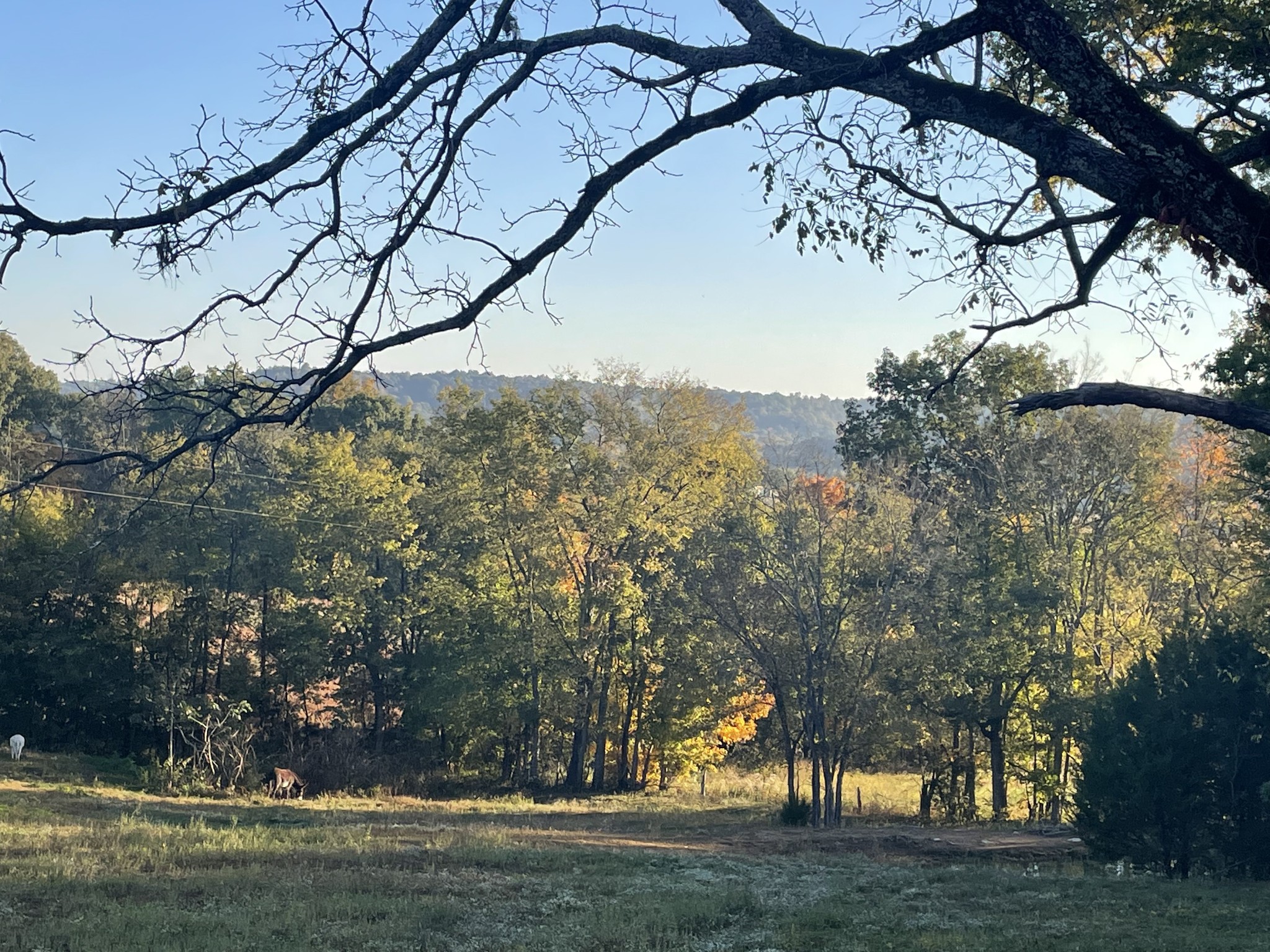 1277 Coosie Branch Rd