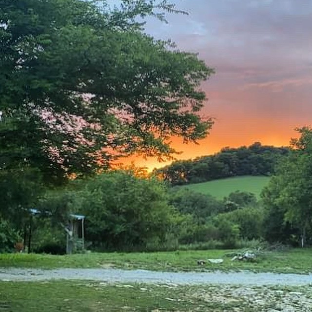 1277 Coosie Branch Rd