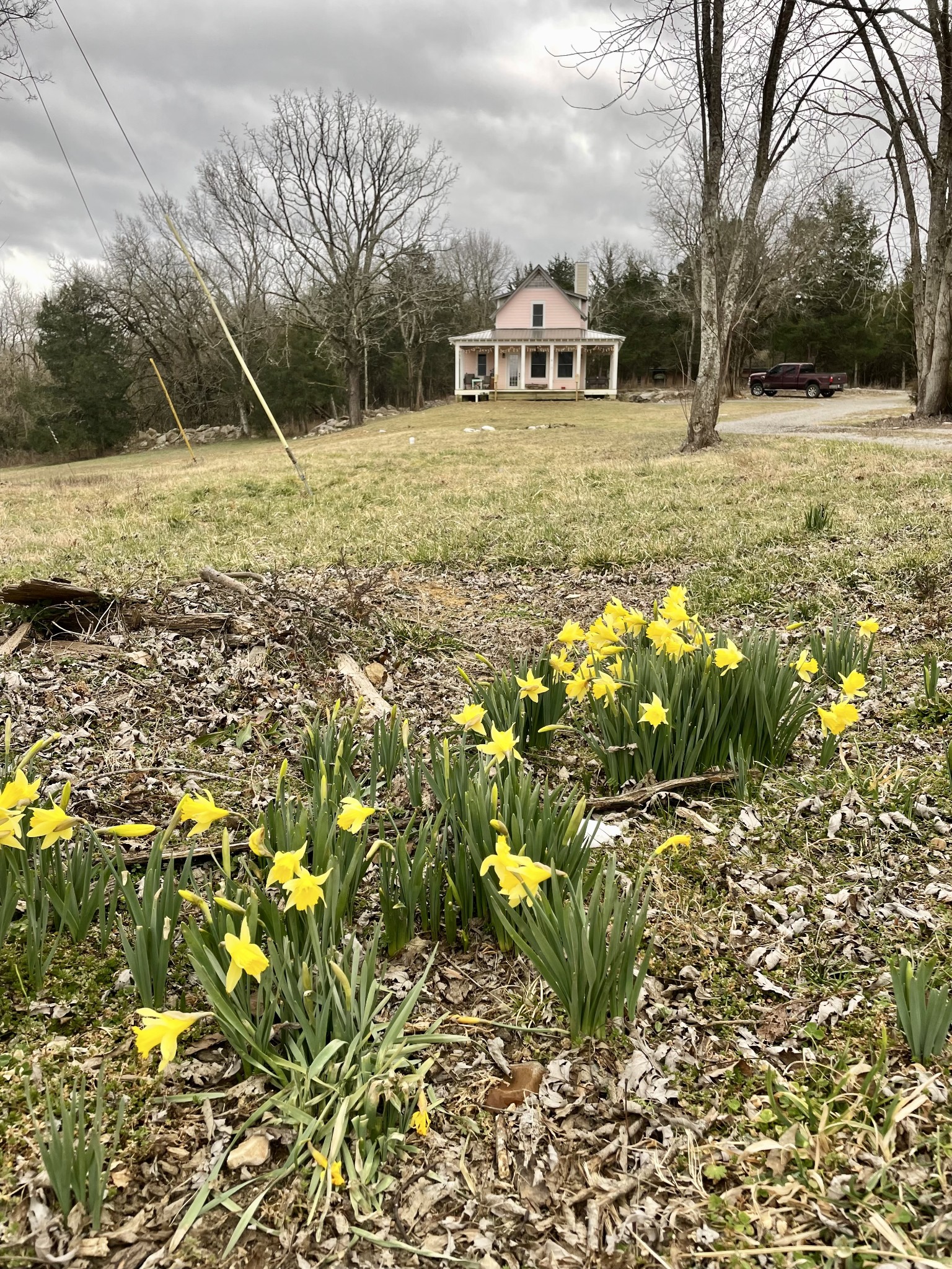 1277 Coosie Branch Rd