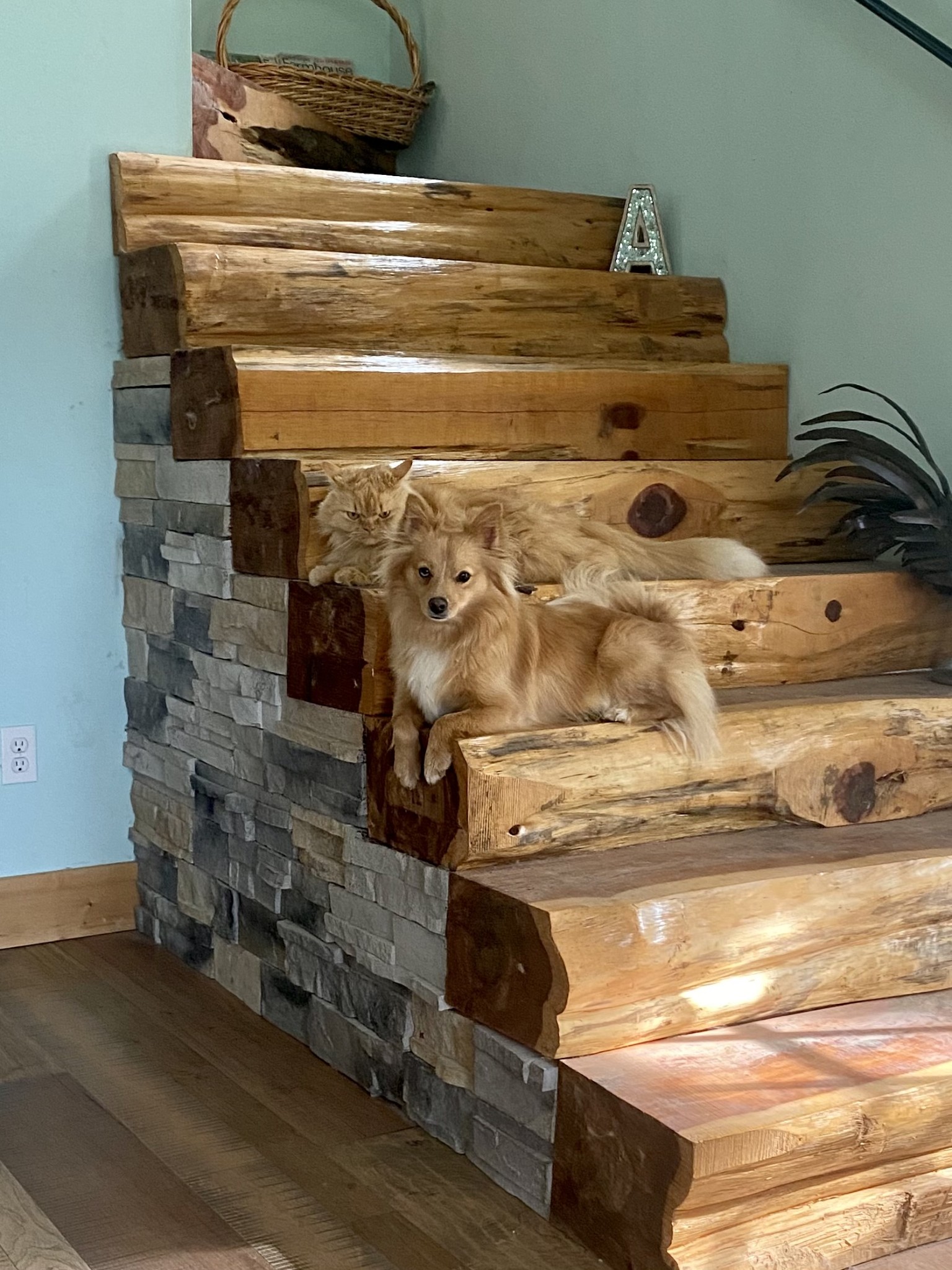 1277 Coosie Branch Rd