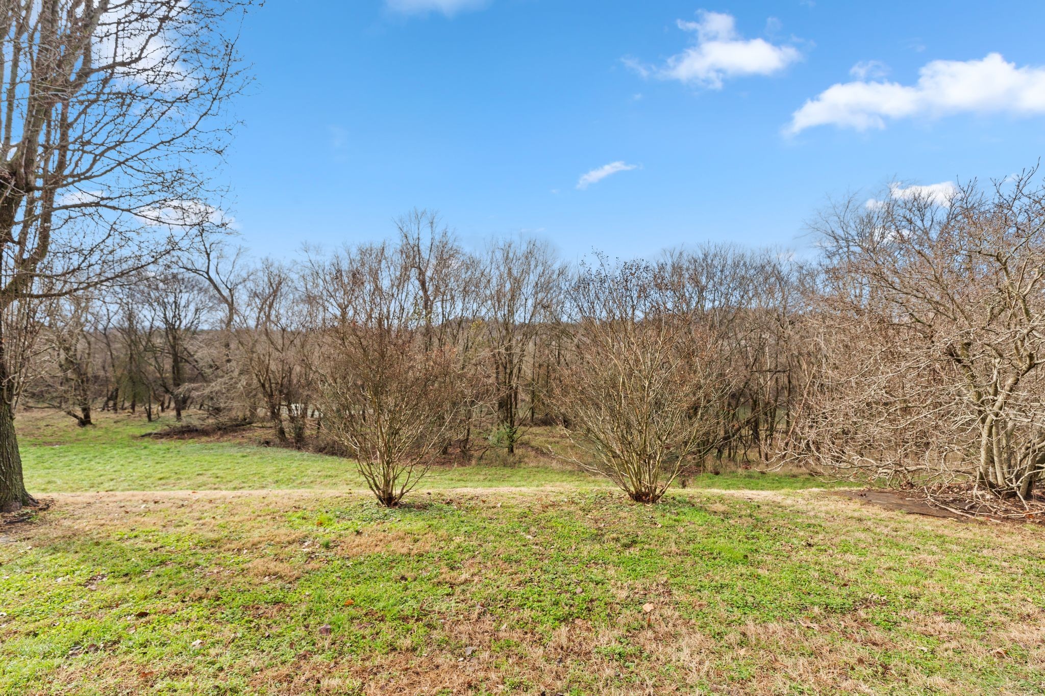 8613 Sawyer Brown Rd