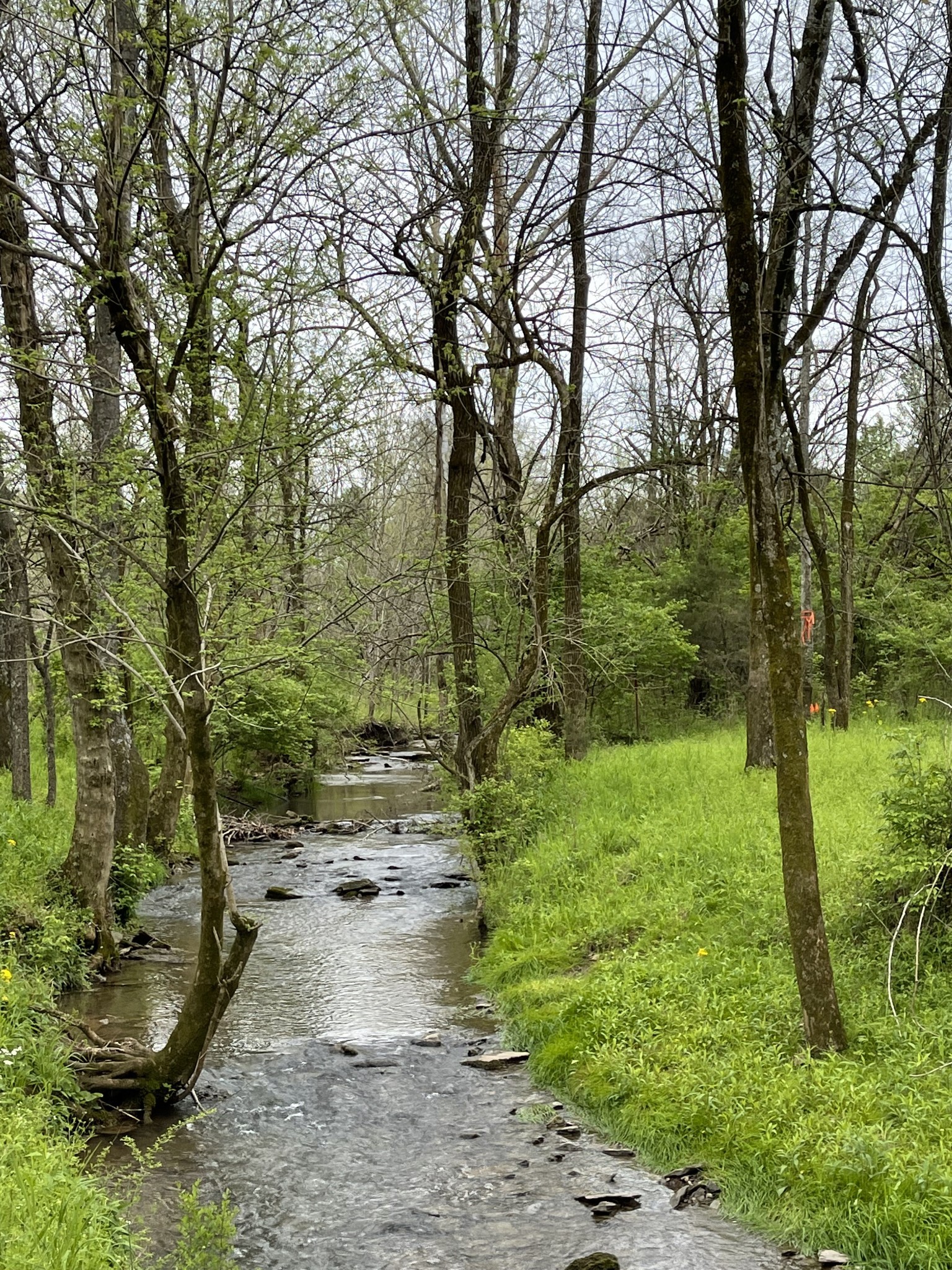 3253 Campbellsville Pike