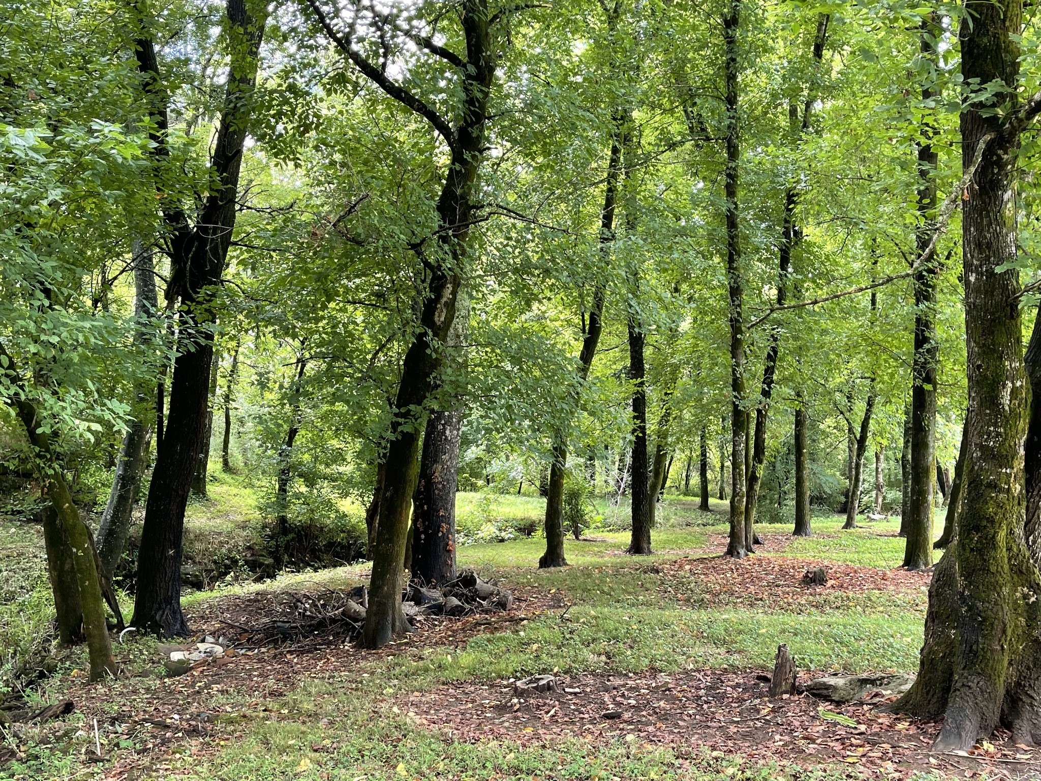 3253 Campbellsville Pike