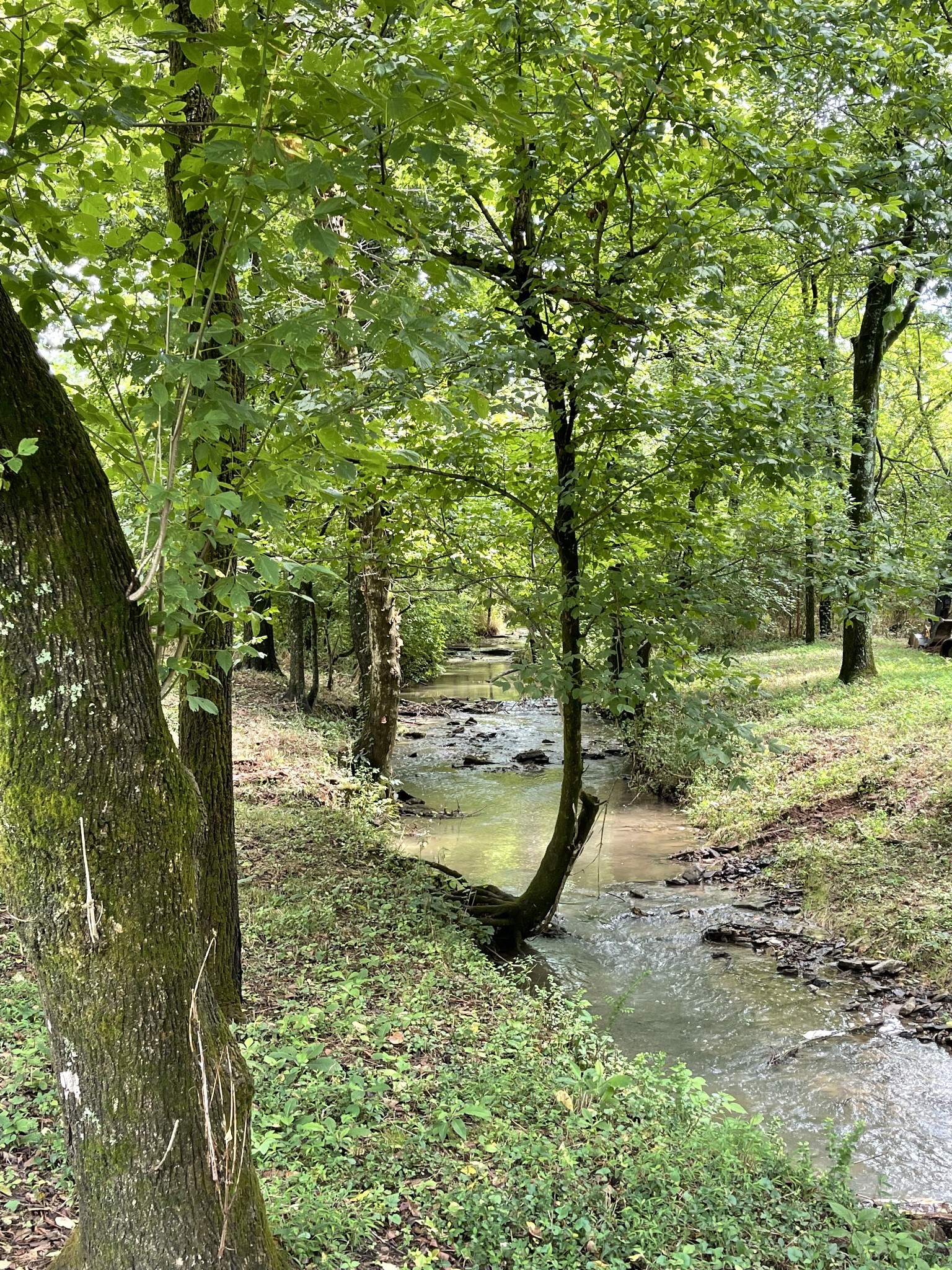 3253 Campbellsville Pike