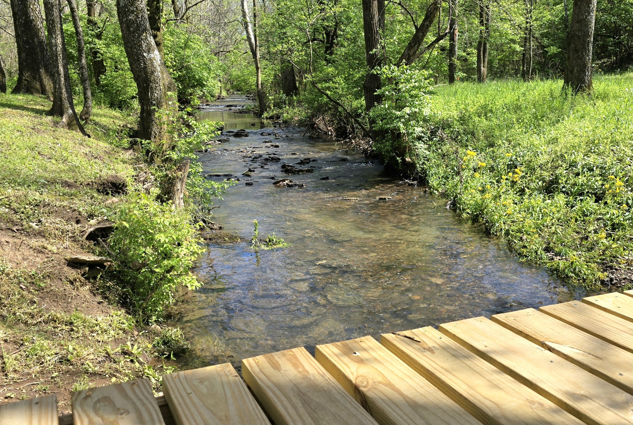 3253 Campbellsville Pike