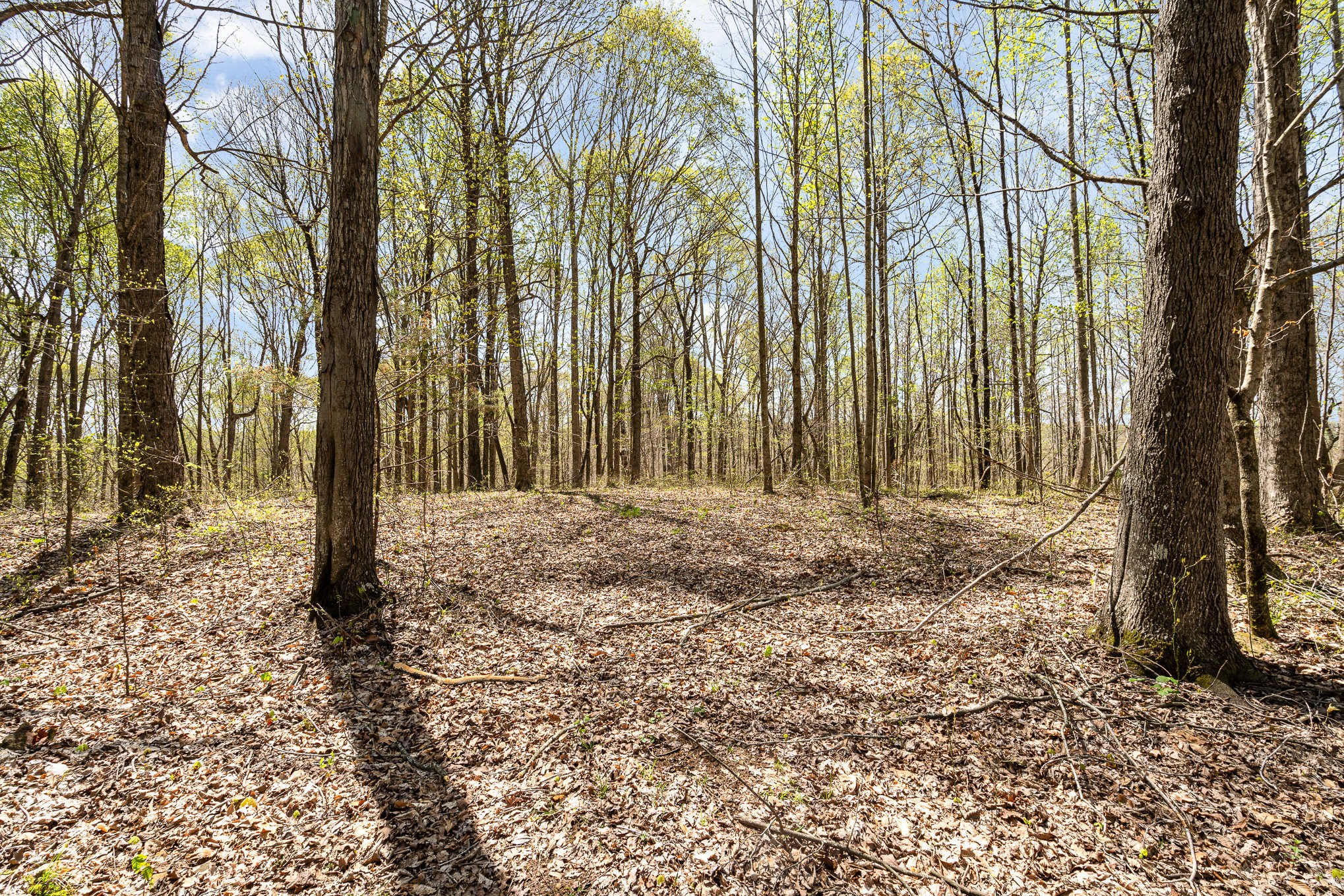 8698 Poplar Creek Rd