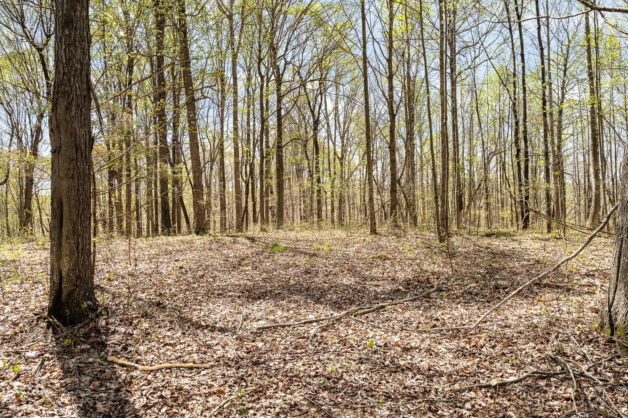 8698 Poplar Creek Rd
