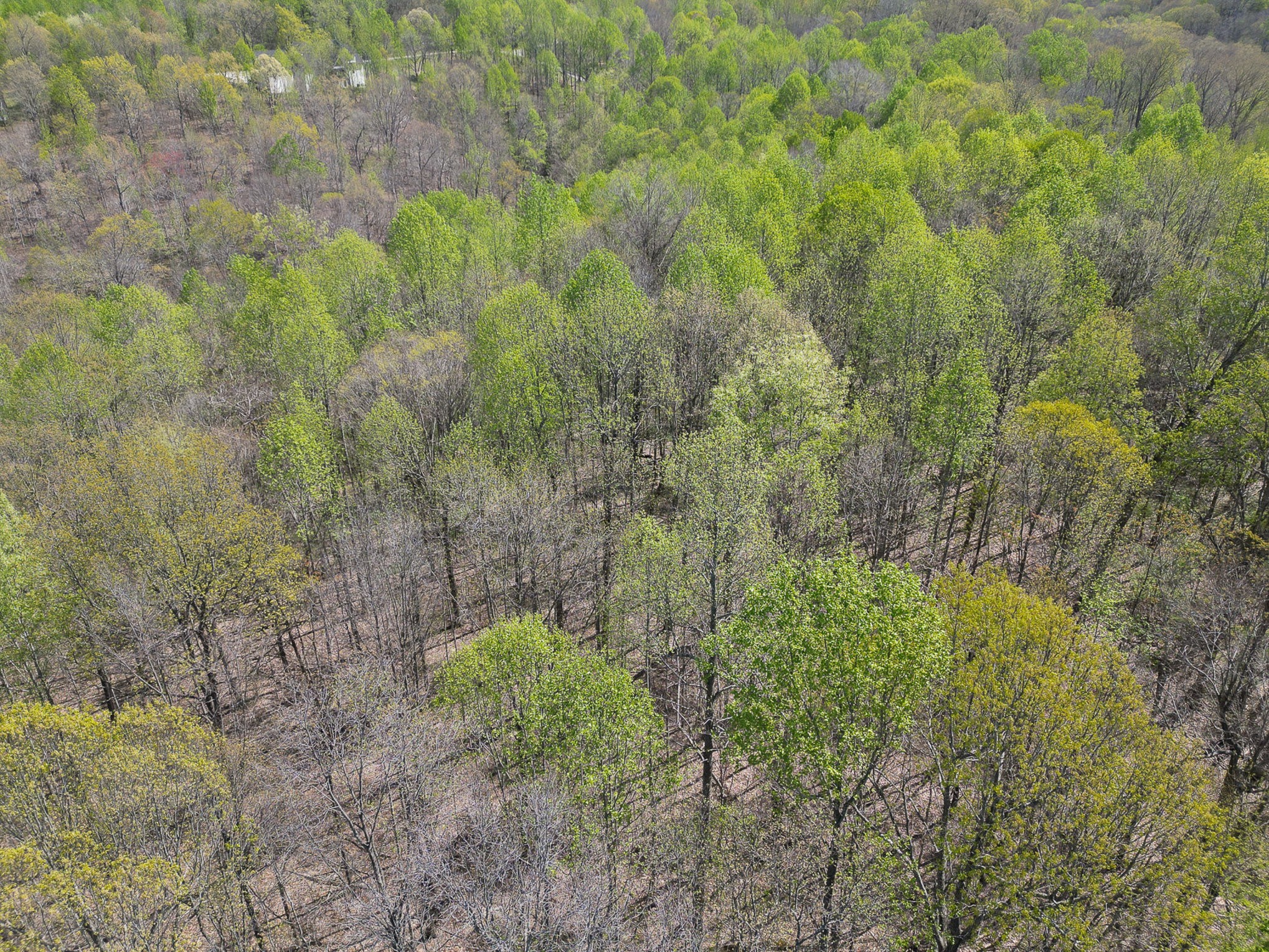 8698 Poplar Creek Rd