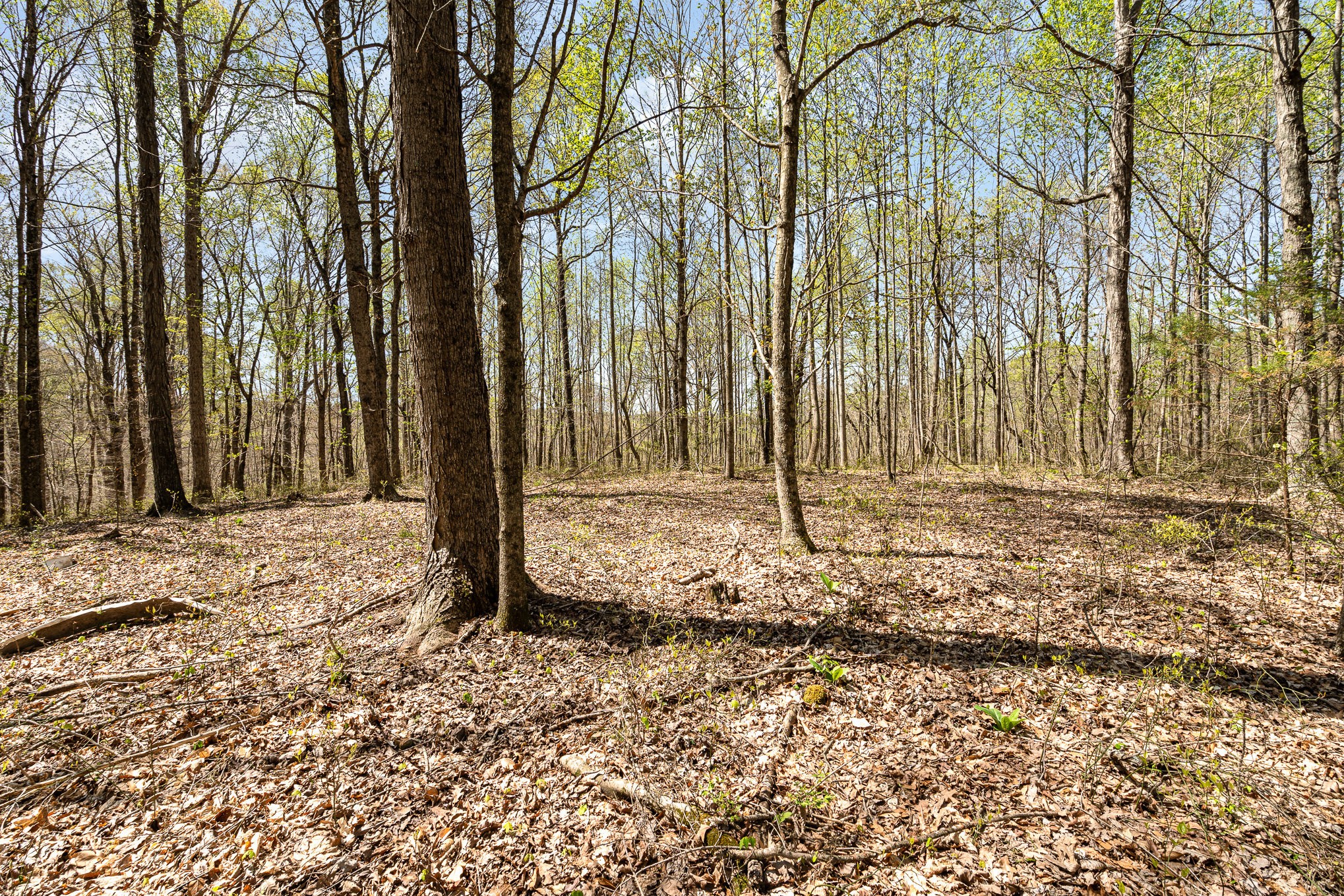 8698 Poplar Creek Rd