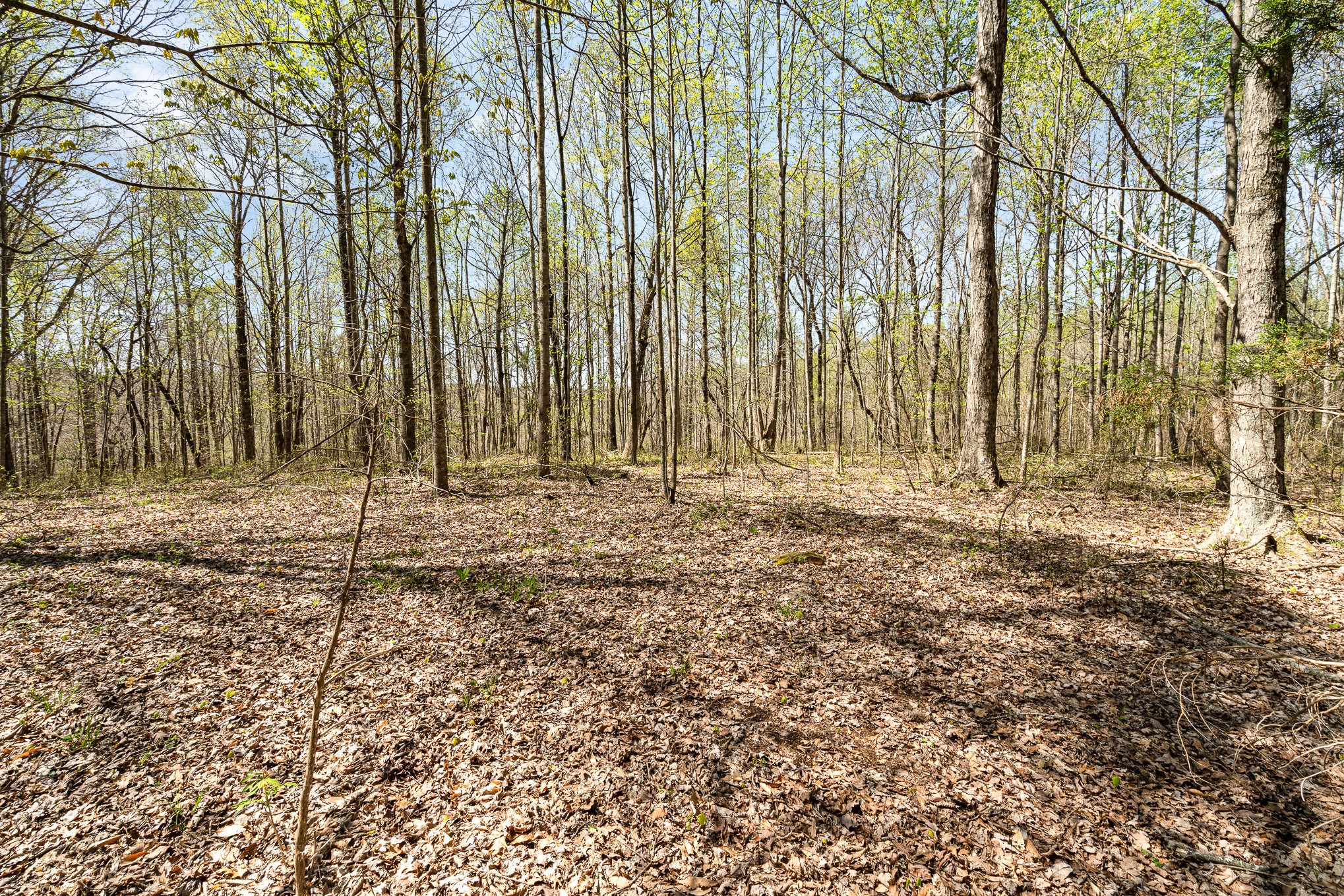 8698 Poplar Creek Rd