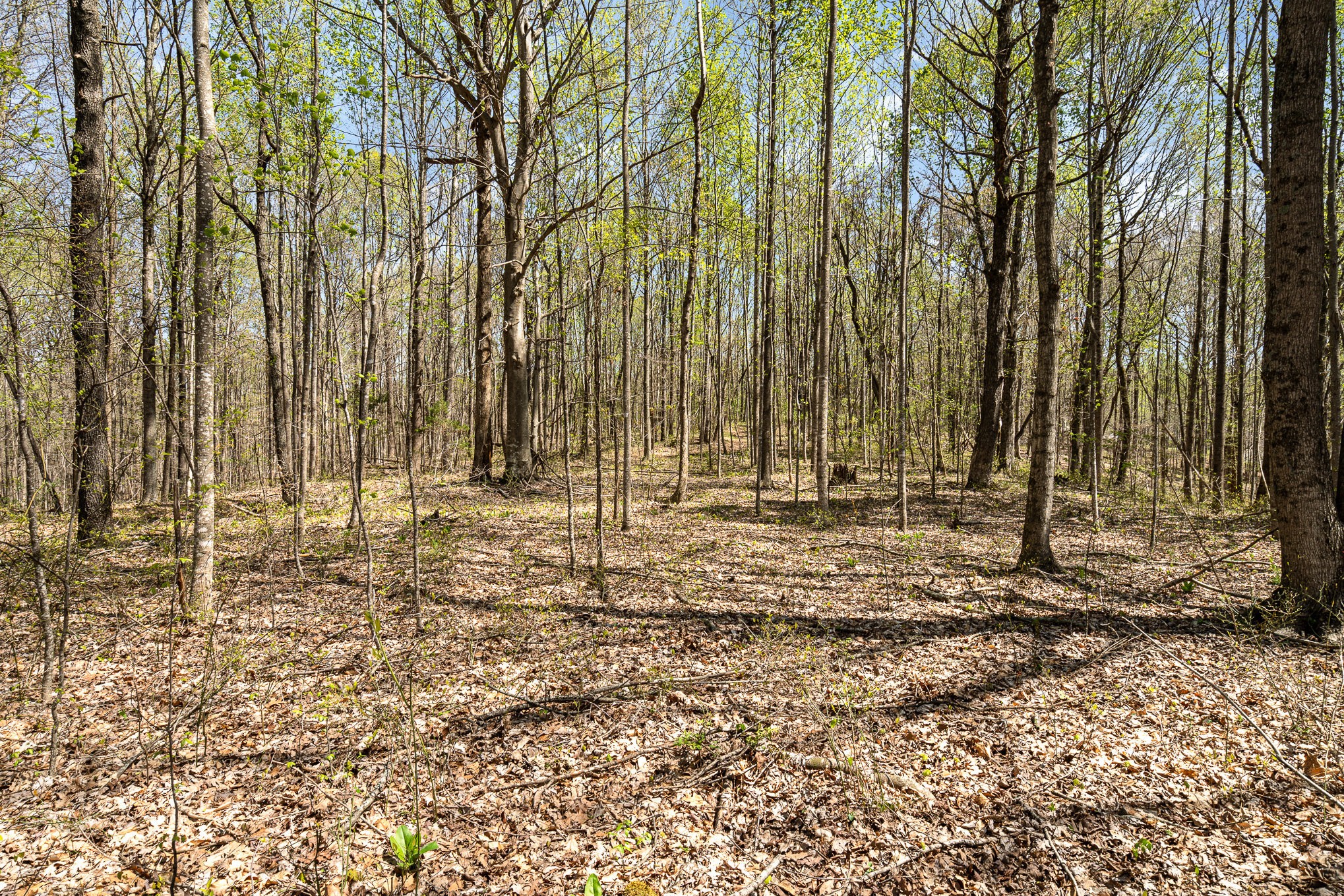 8698 Poplar Creek Rd