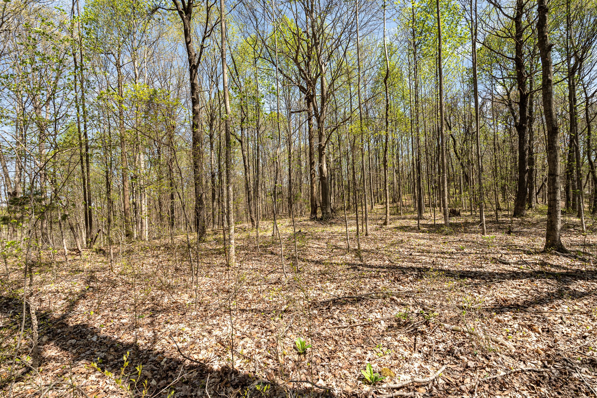 8698 Poplar Creek Rd