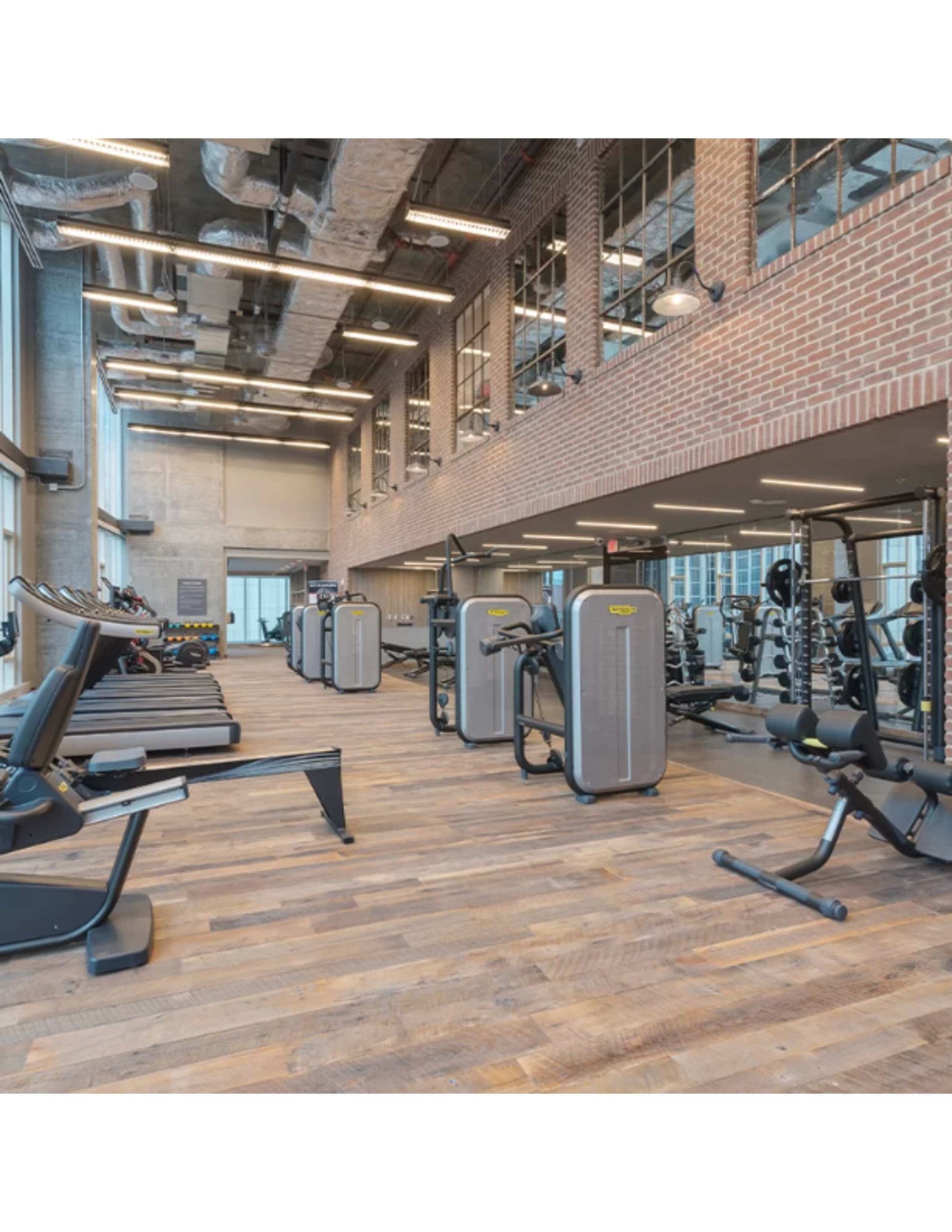 515 Church St Unit: 3709