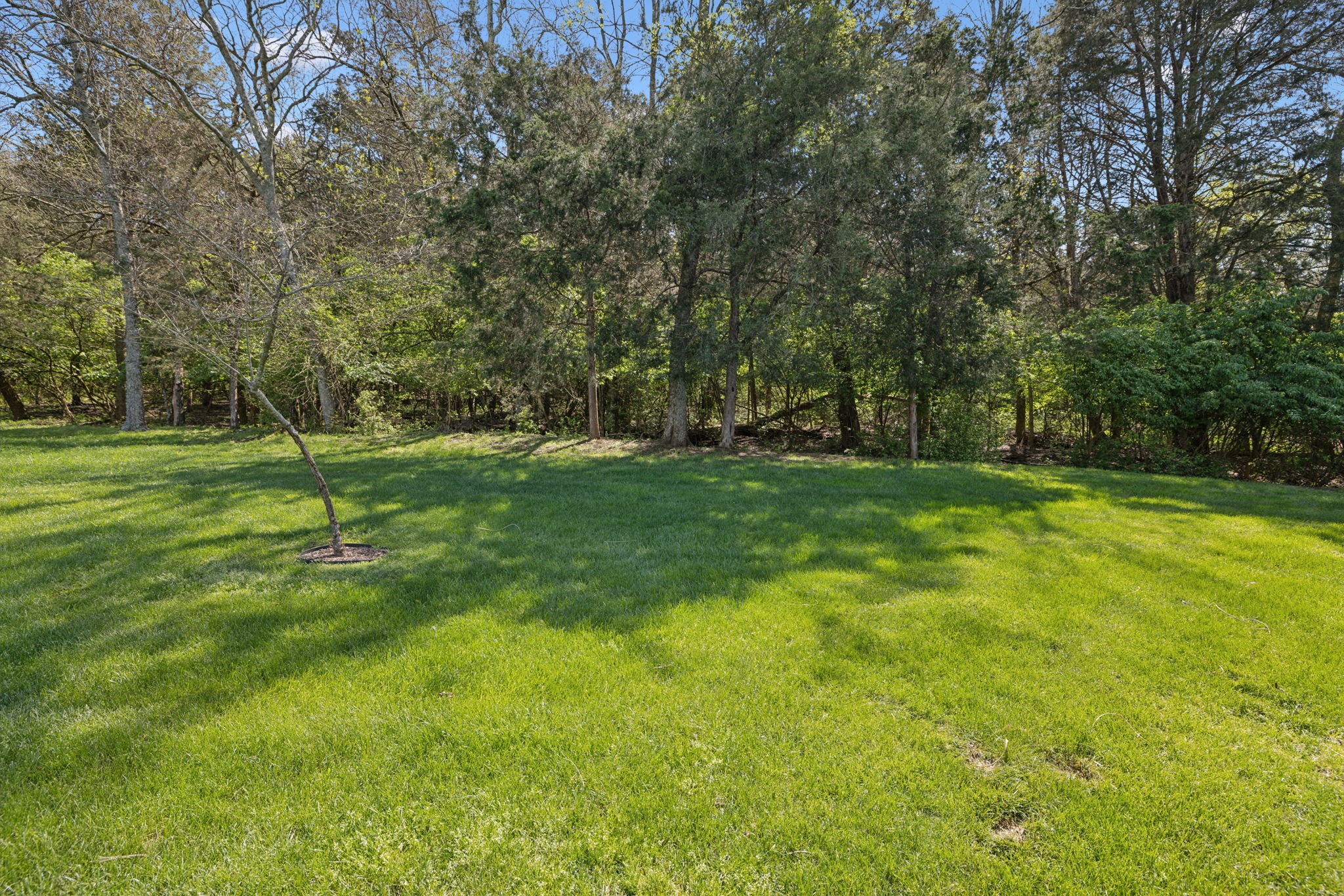 6103 Martingale Ln