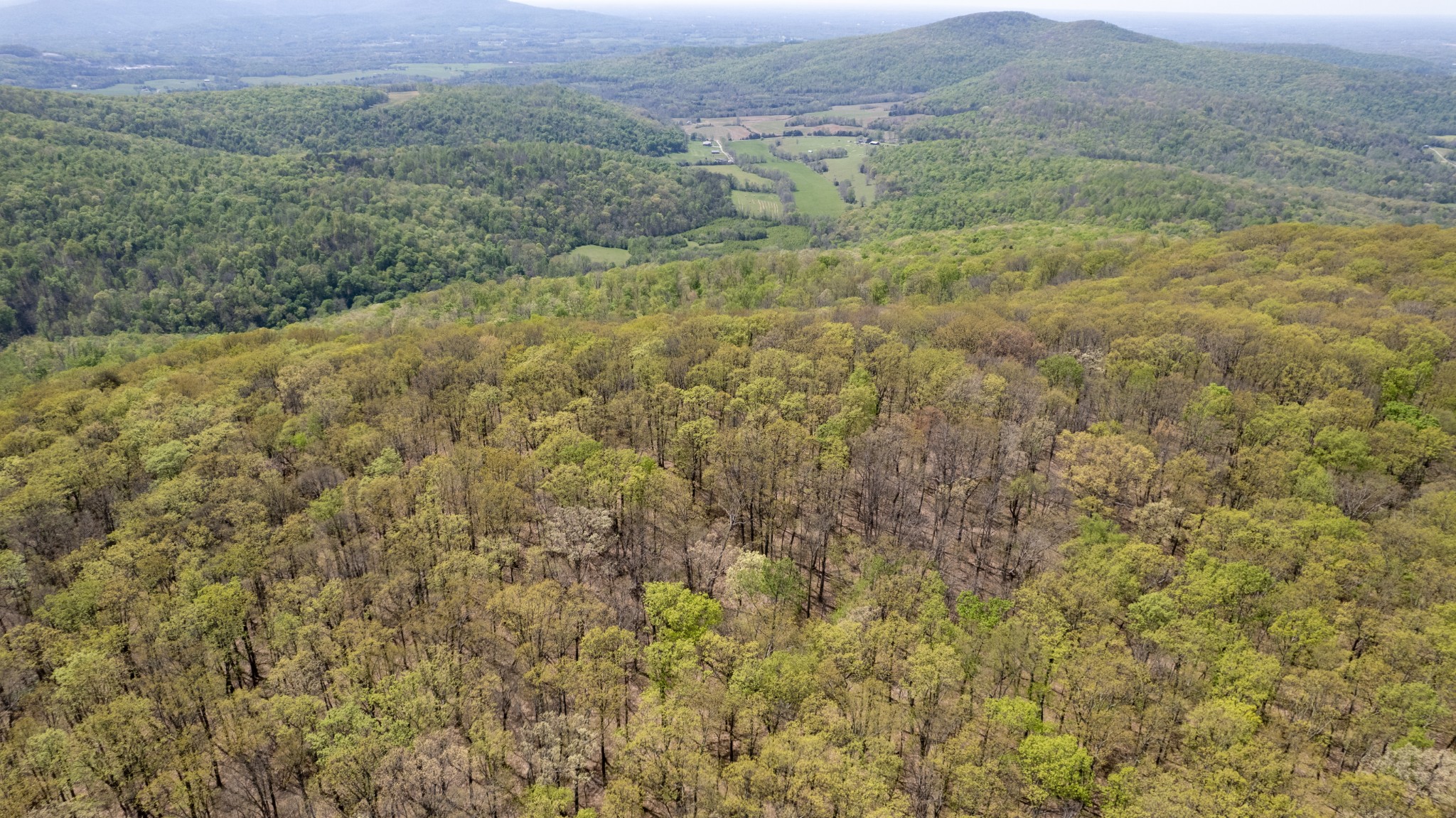 7 Long Mountain