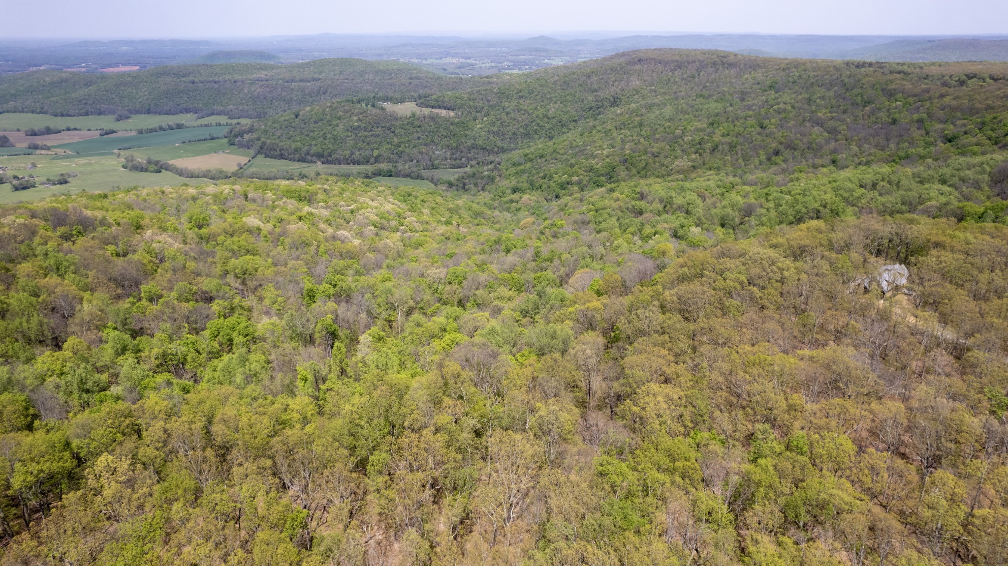 7 Long Mountain
