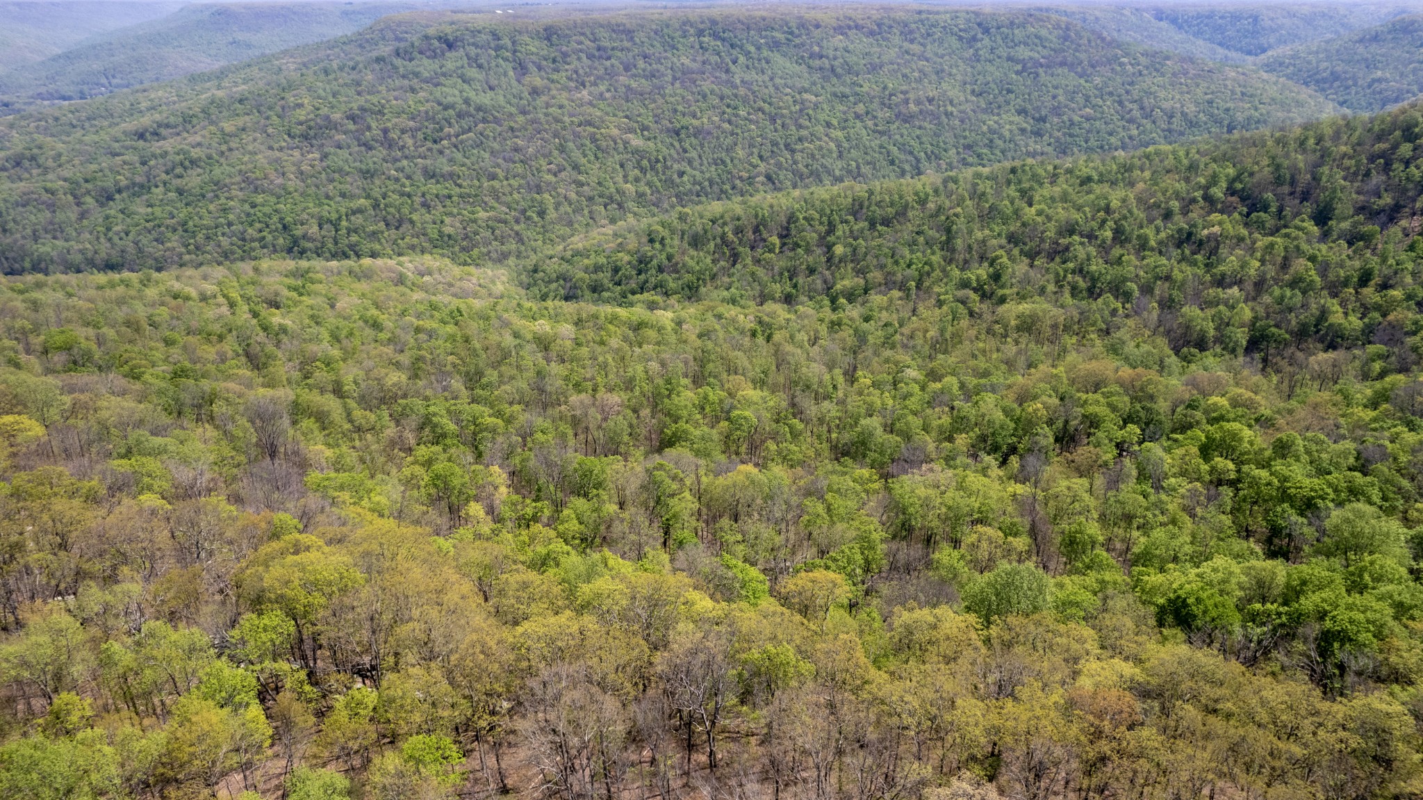 7 Long Mountain