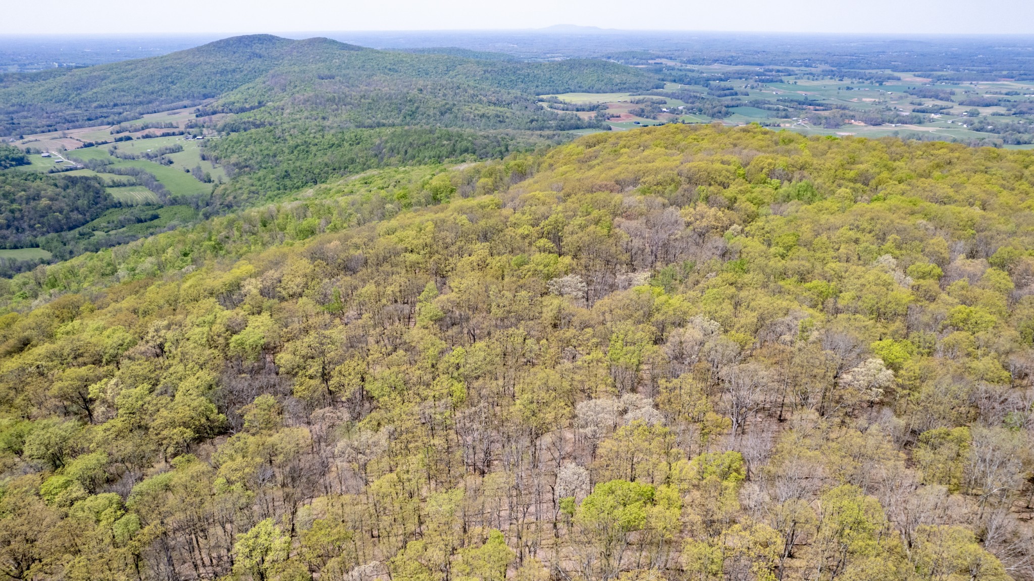 8 Long Mountain Trl