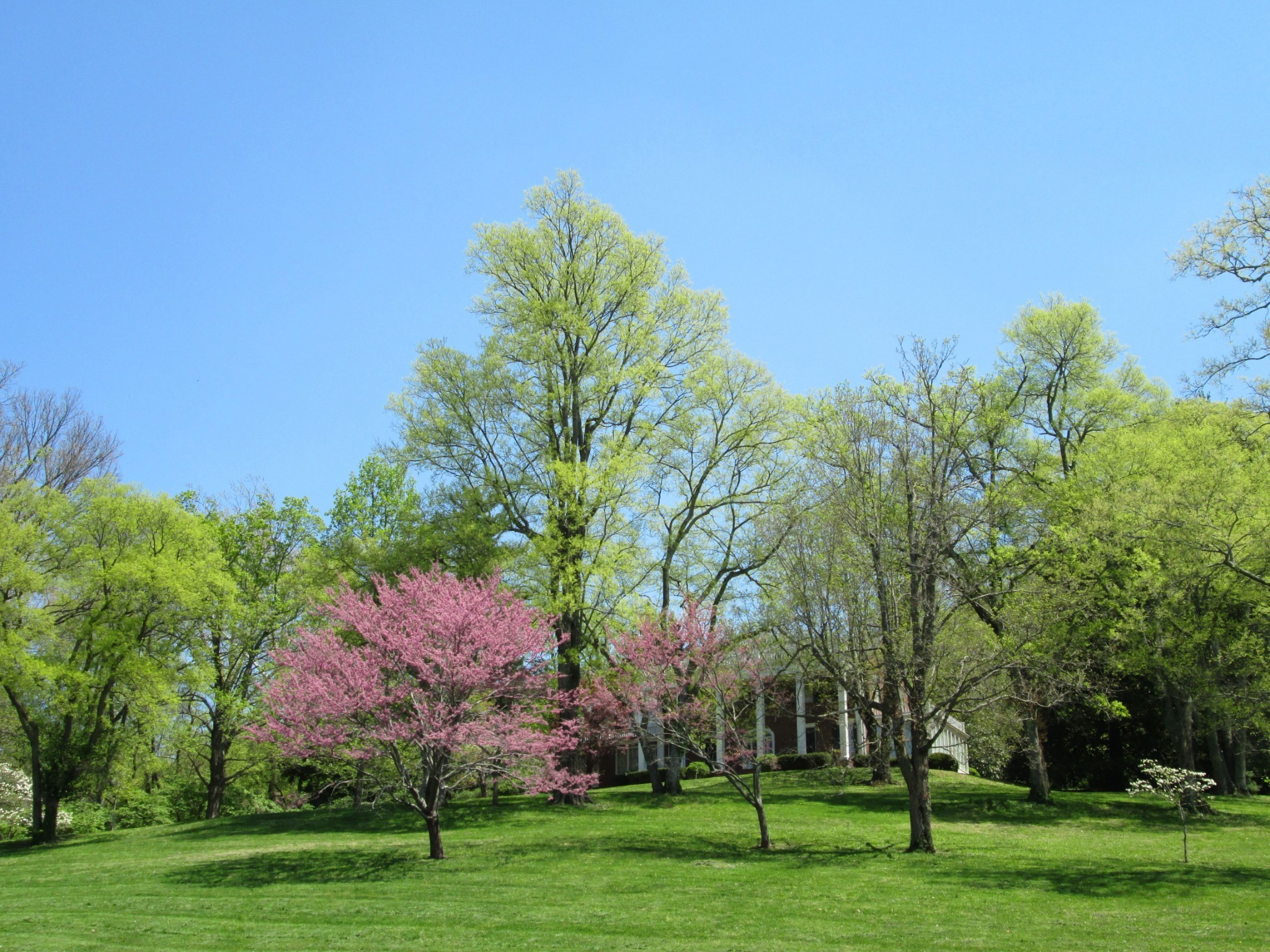 5350 Hillsboro Pike
