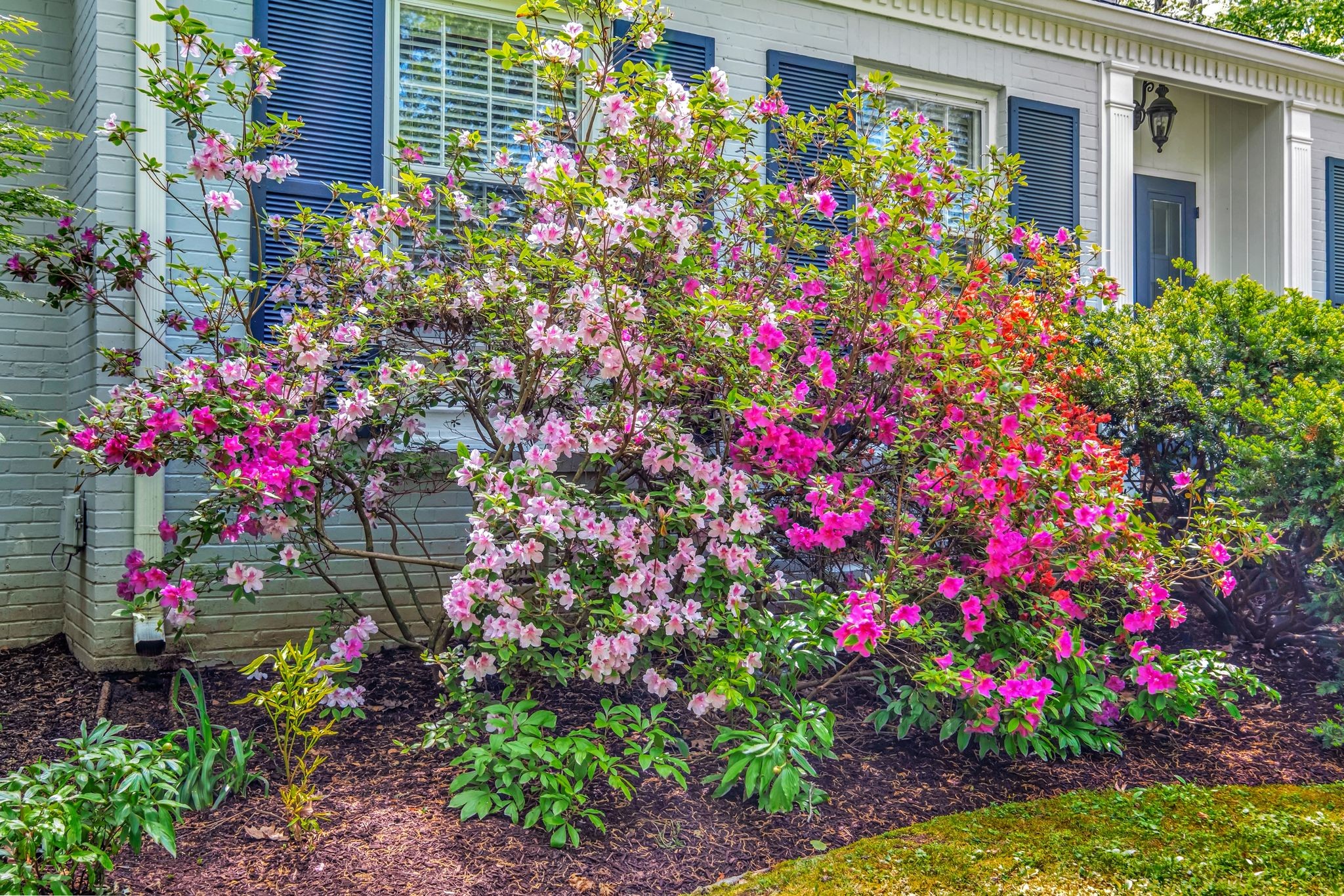 6212 Gardendale Dr
