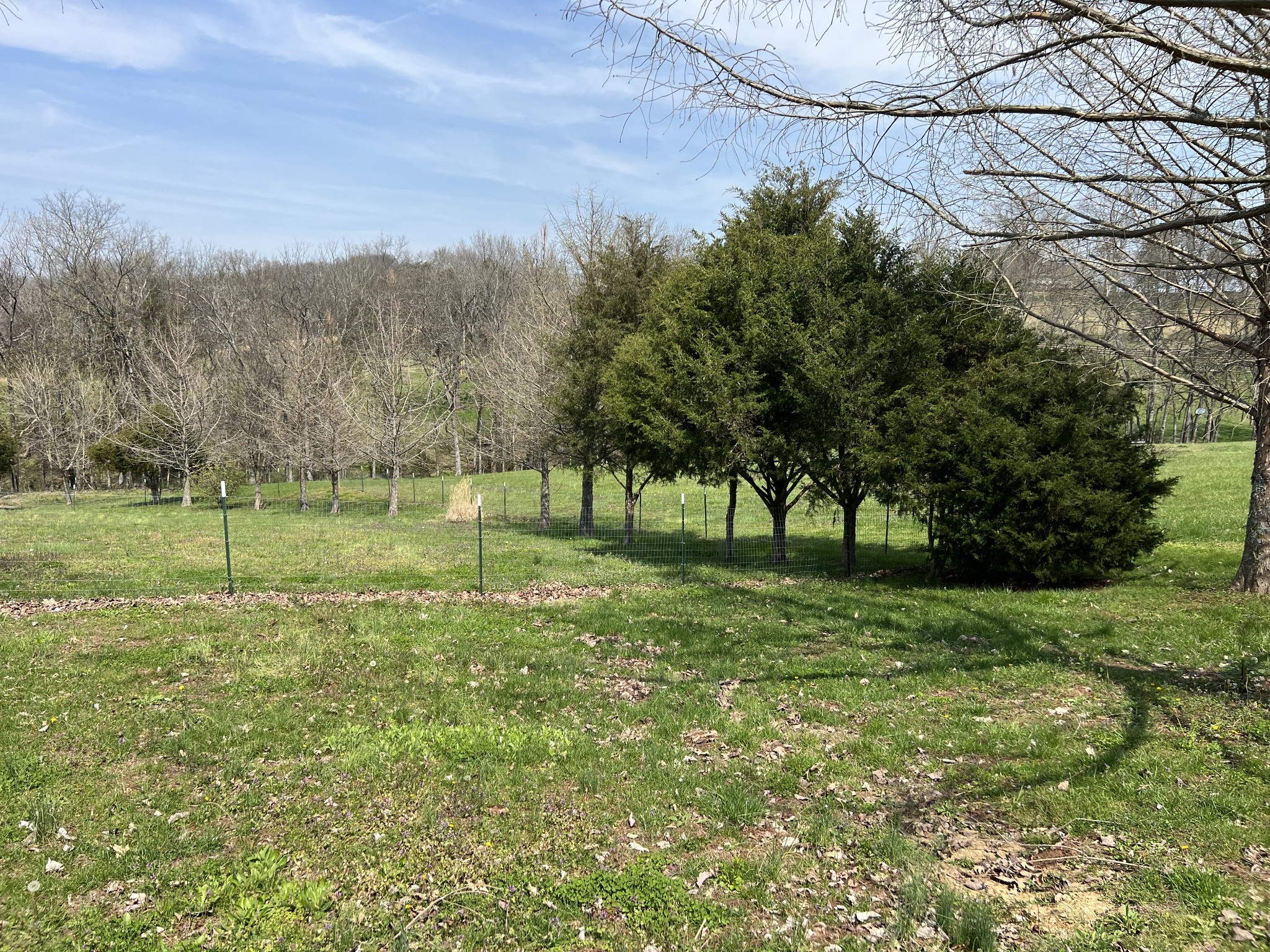 1224 Whiteside Hill Rd