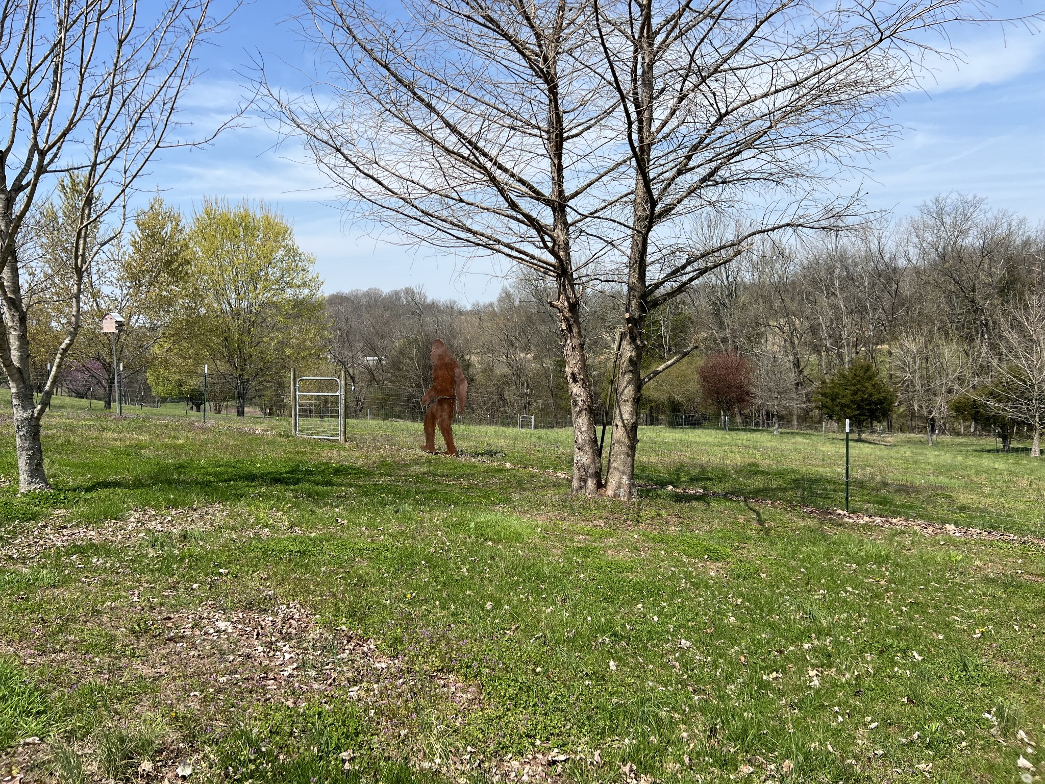 1224 Whiteside Hill Rd