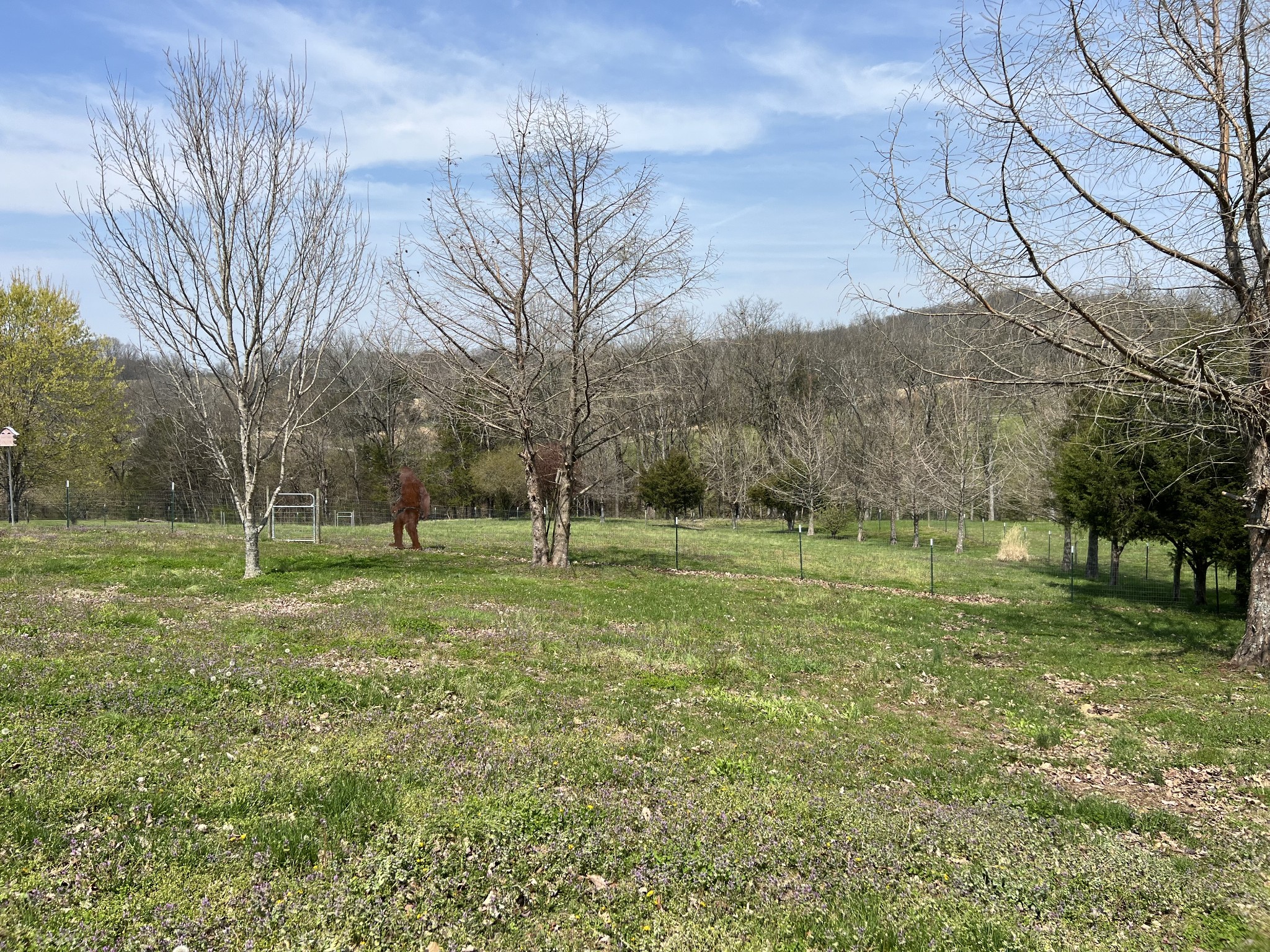 1224 Whiteside Hill Rd
