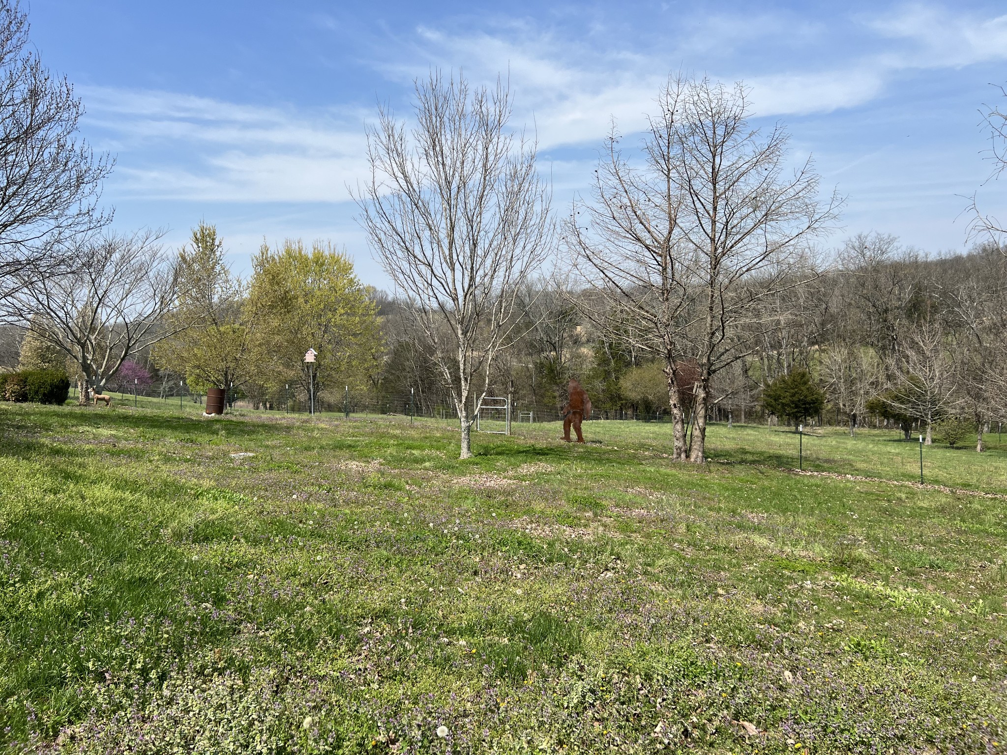 1224 Whiteside Hill Rd