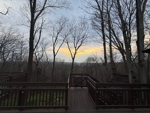 833 Stirrup Dr