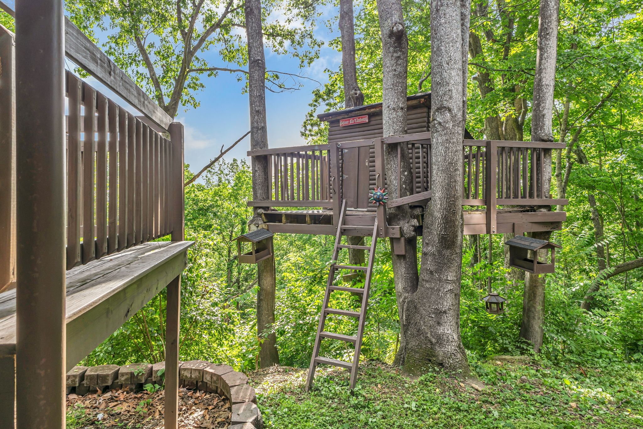 833 Stirrup Dr