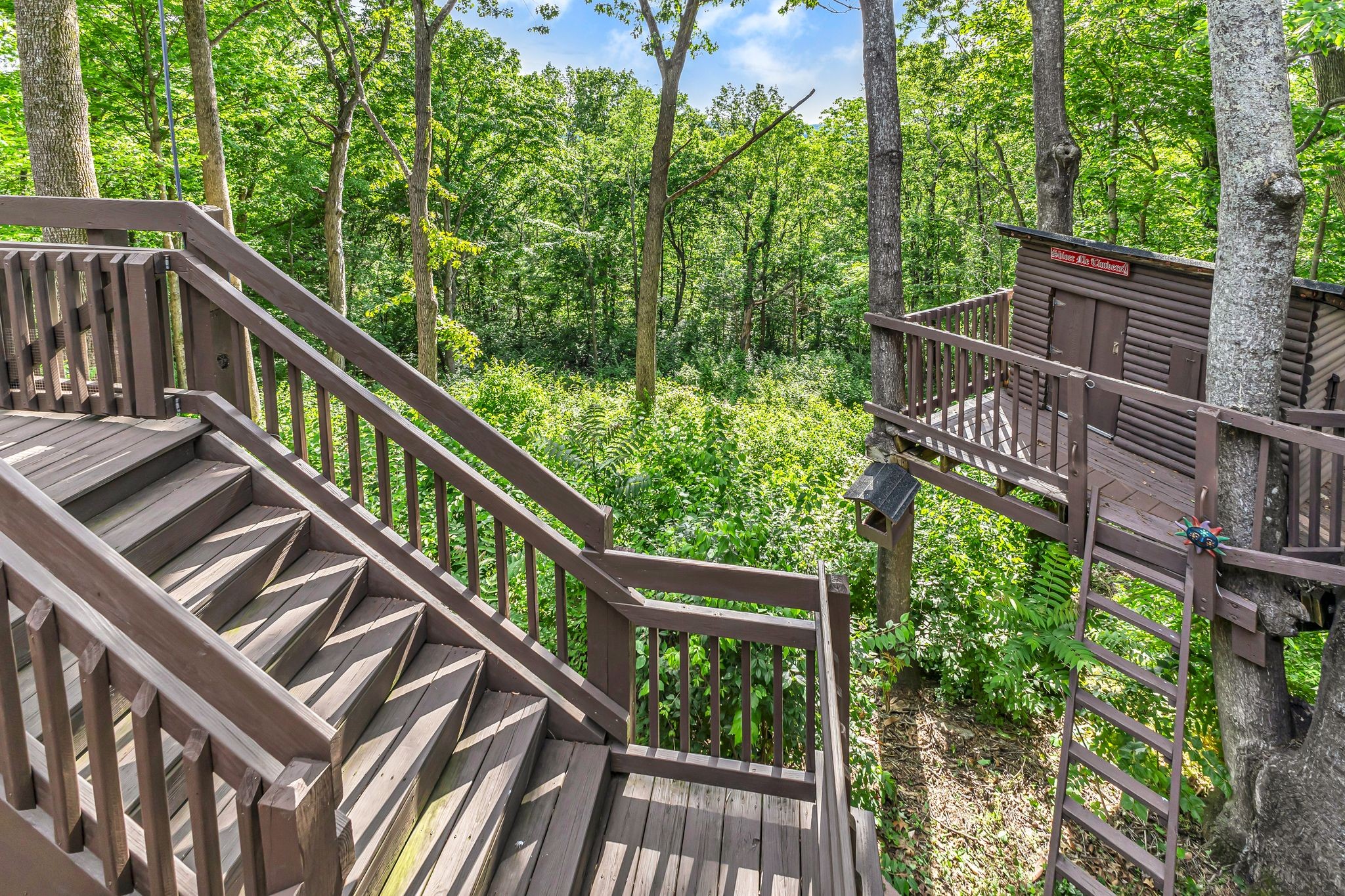833 Stirrup Dr
