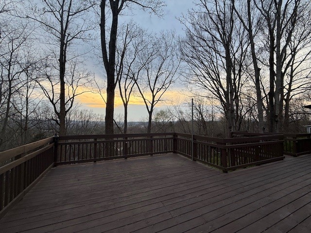 833 Stirrup Dr
