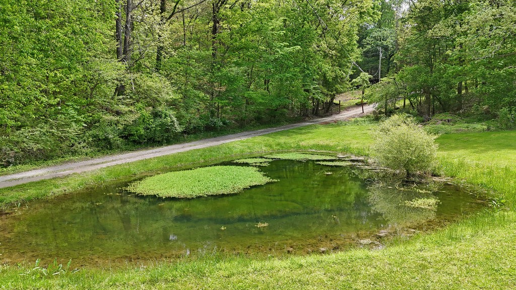 1346 Roddy Springs Rd